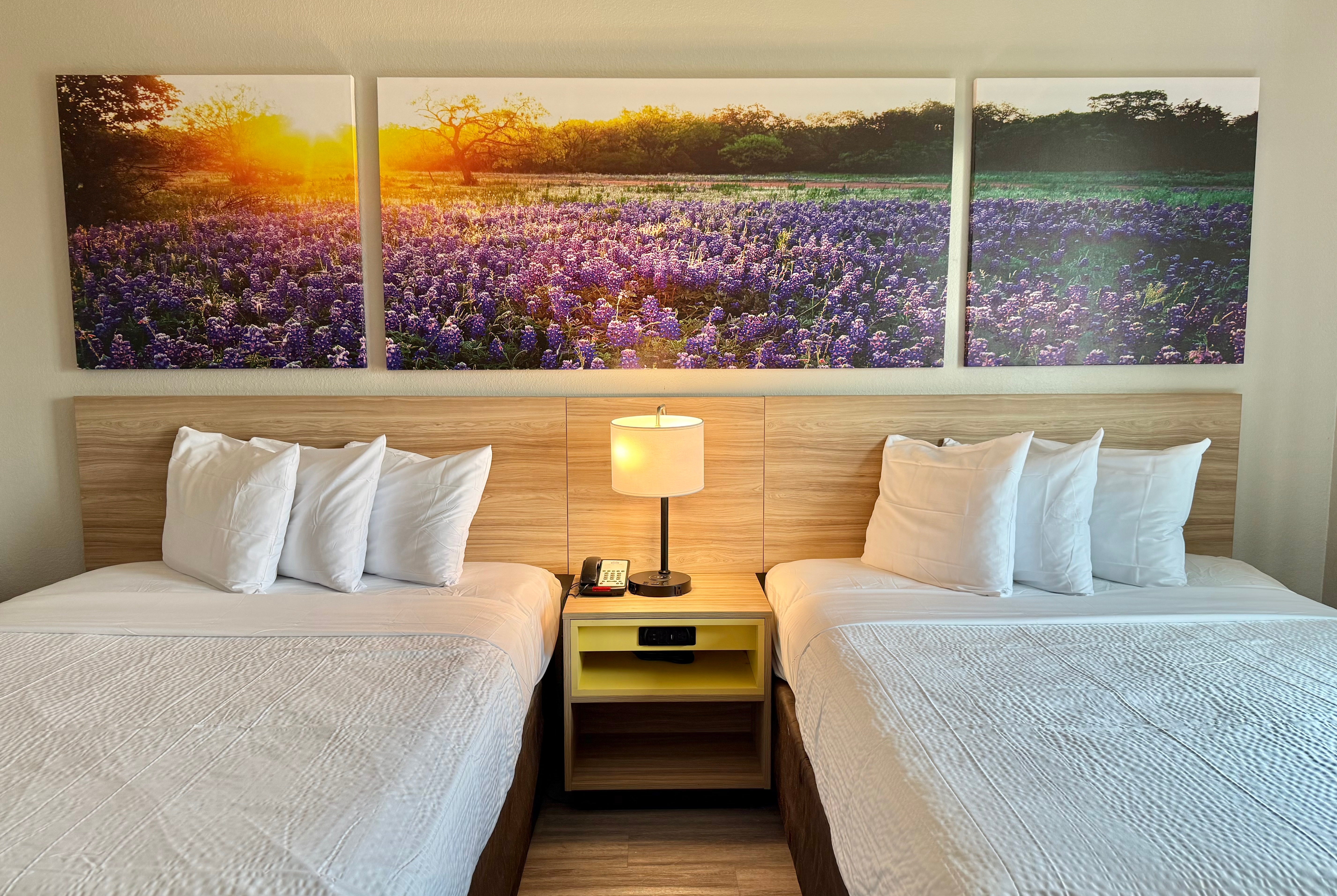 Guest room at the Days Inn & Suites by Wyndham Houston / West Energy Corridor in Houston, Texas