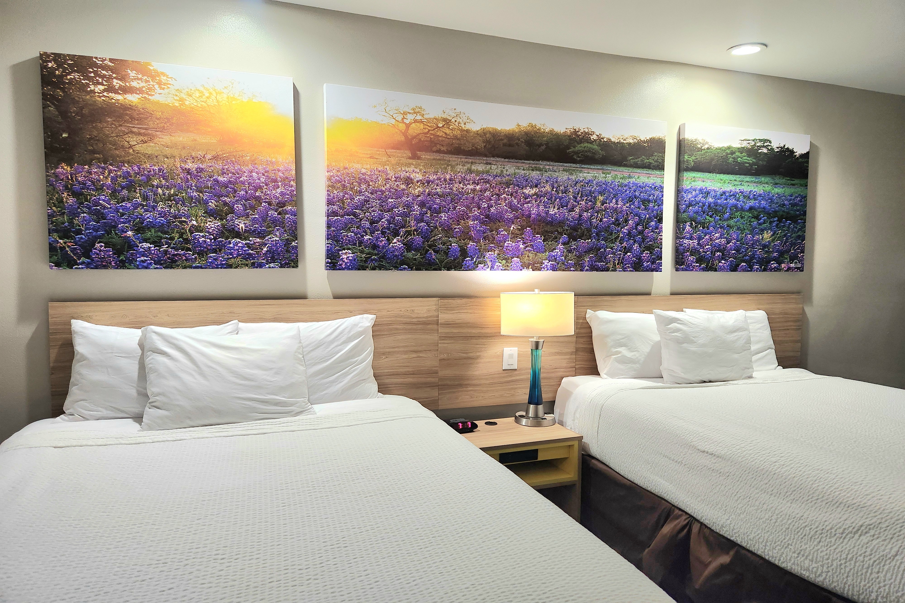 Guest room at the Days Inn & Suites by Wyndham Katy in Katy, Texas