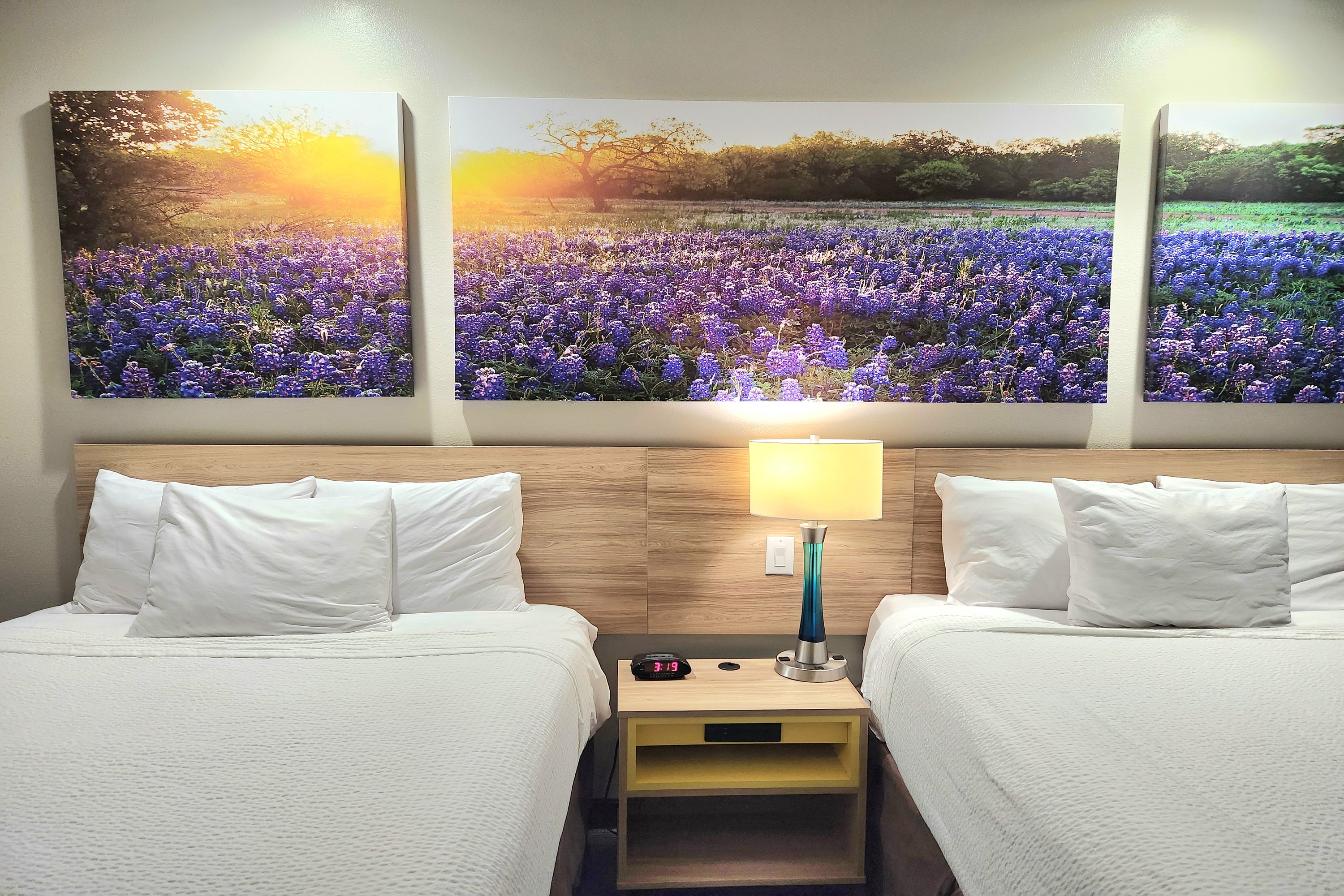 Guest room at the Days Inn & Suites by Wyndham Katy in Katy, Texas