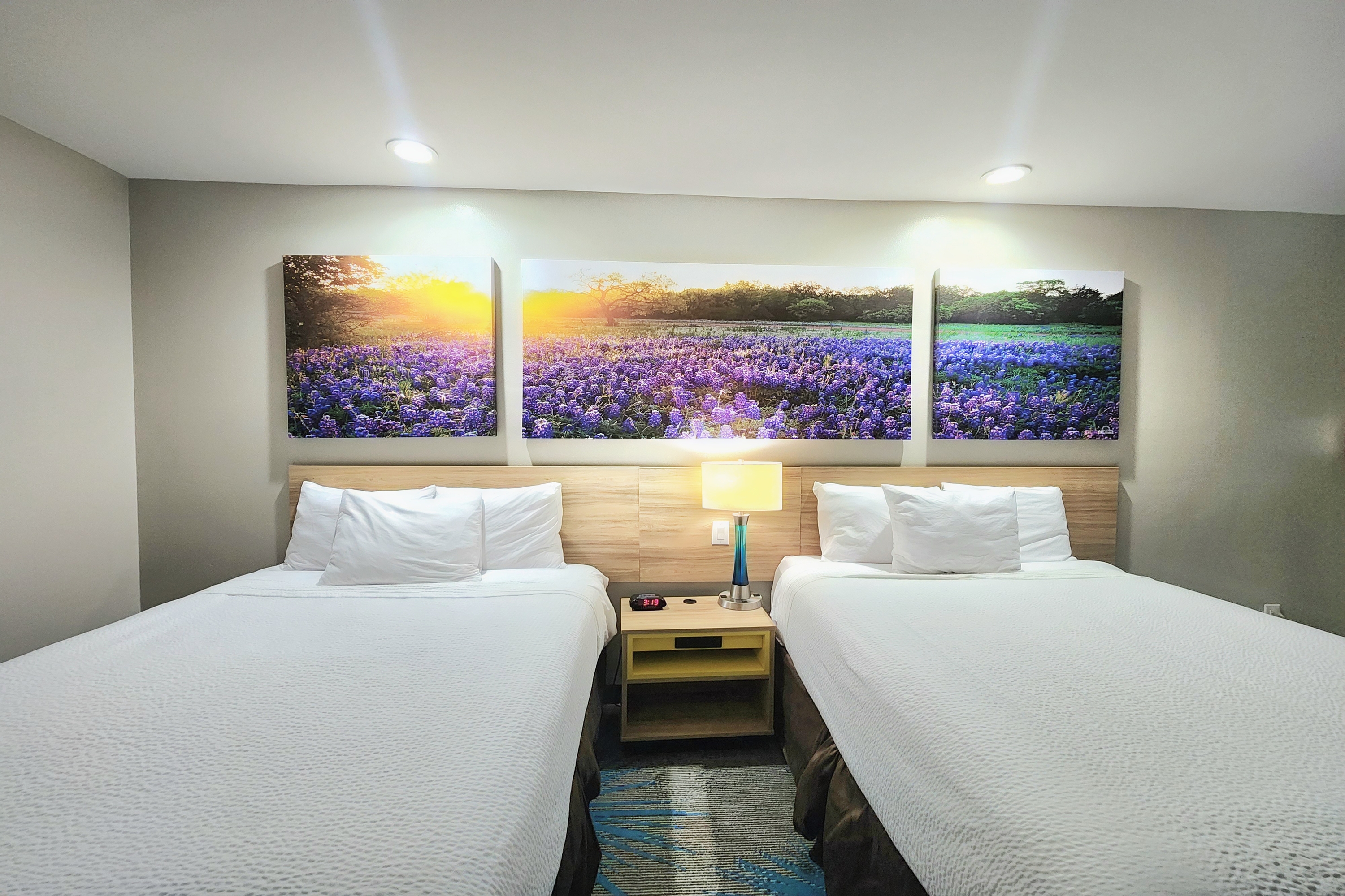 Guest room at the Days Inn & Suites by Wyndham Katy in Katy, Texas