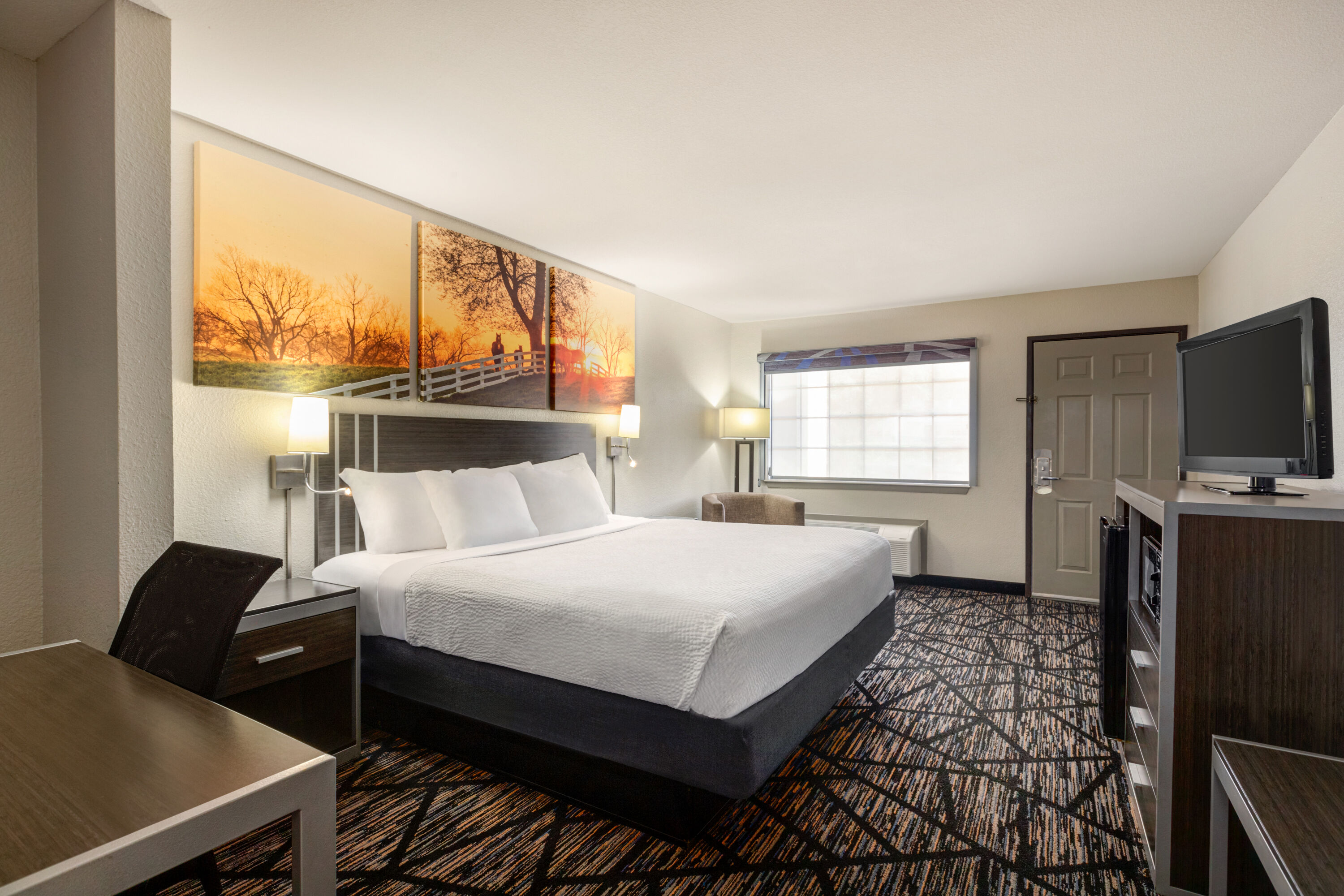 Days Inn Wyndham San Antonio Near Fiesta Park San Antonio  Hotels