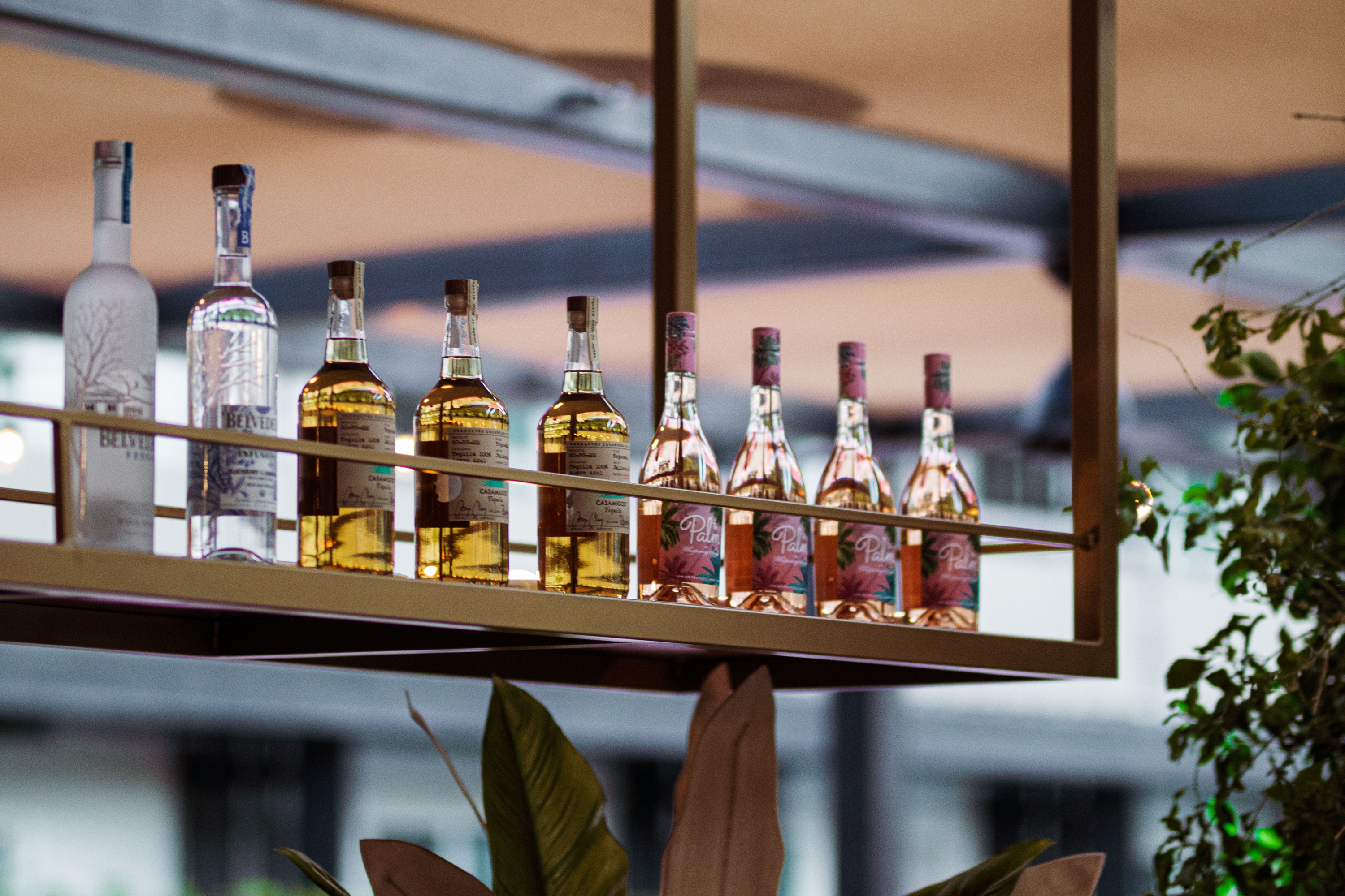 V Capri Palm Springs, a Dolce by Wyndham restaurant in Palm Springs, California