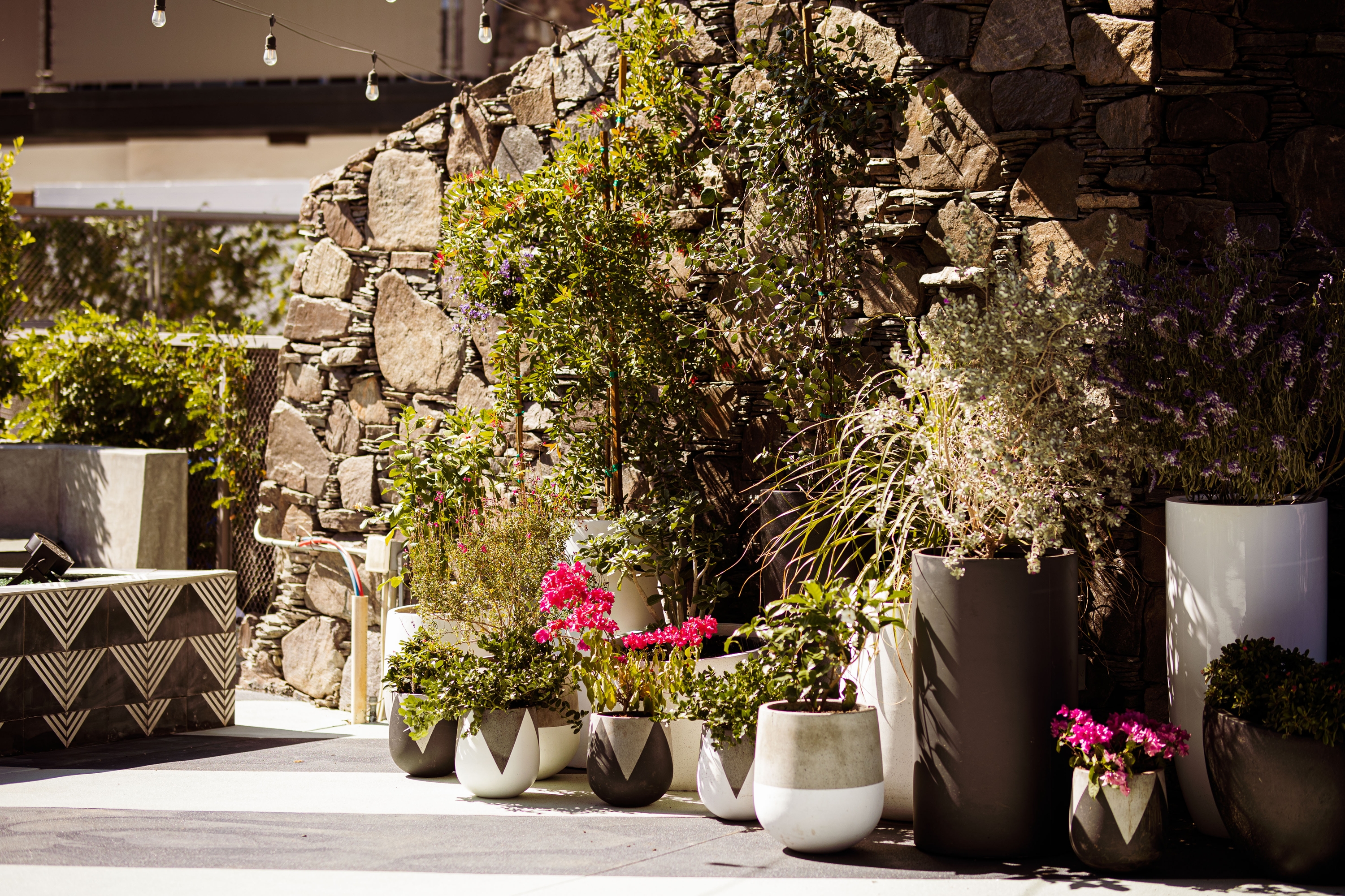 V Capri Palm Springs, a Dolce by Wyndham restaurant in Palm Springs, California