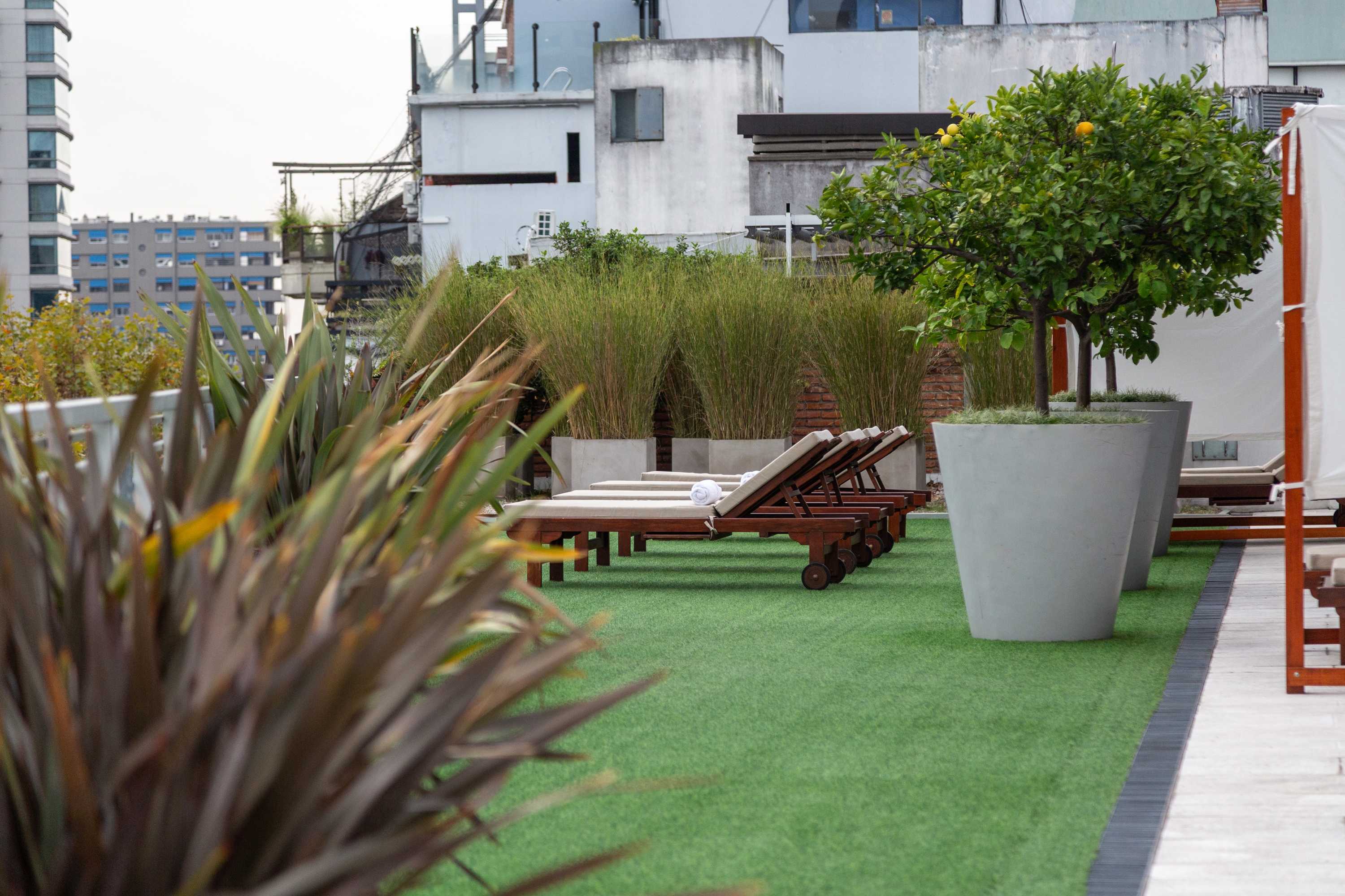 Courtyard at Dazzler by Wyndham Buenos Aires Polo in Buenos Aires, Other than US/Canada