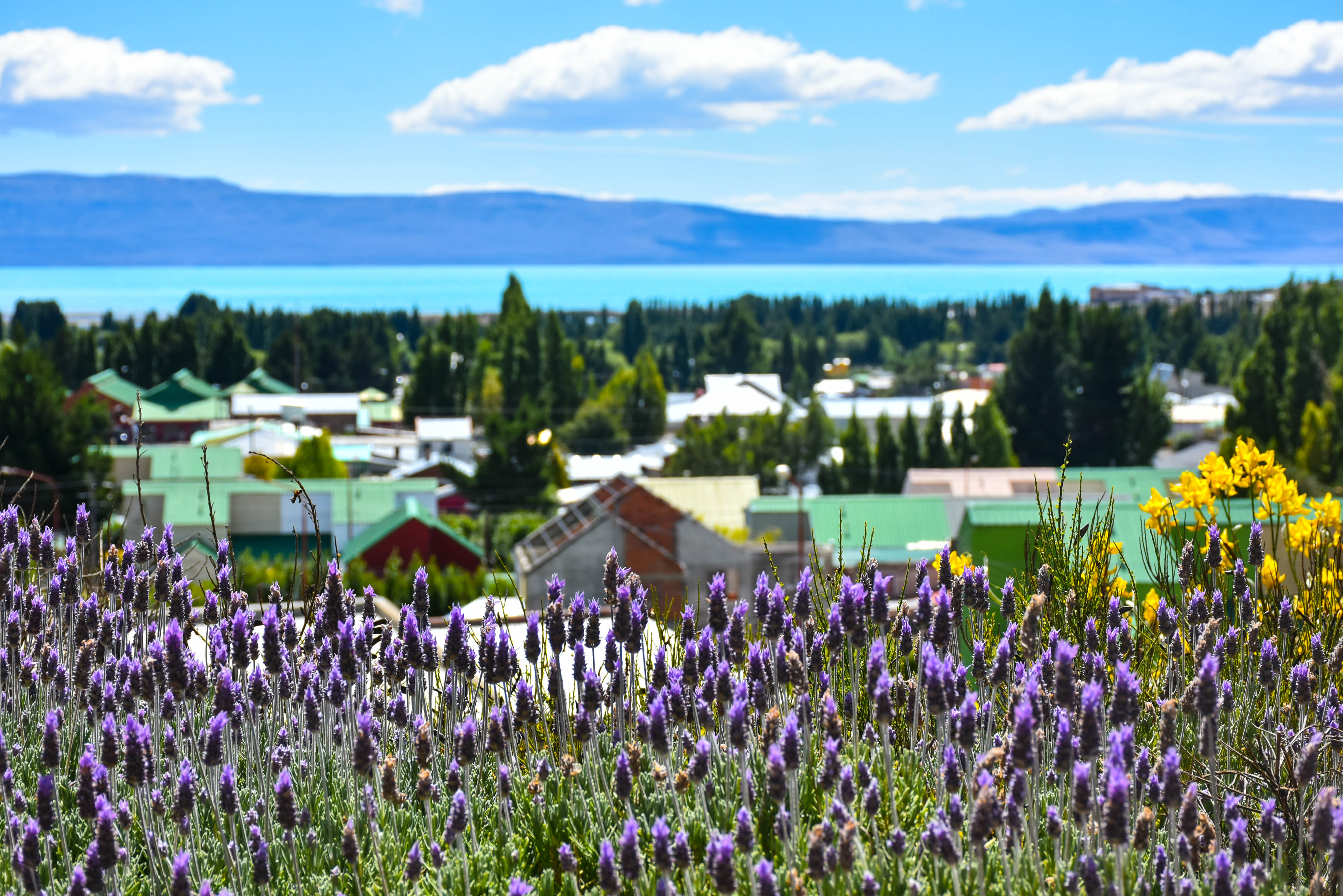 Esplendor By Wyndham El Calafate Hot 233 Is Em El Calafate