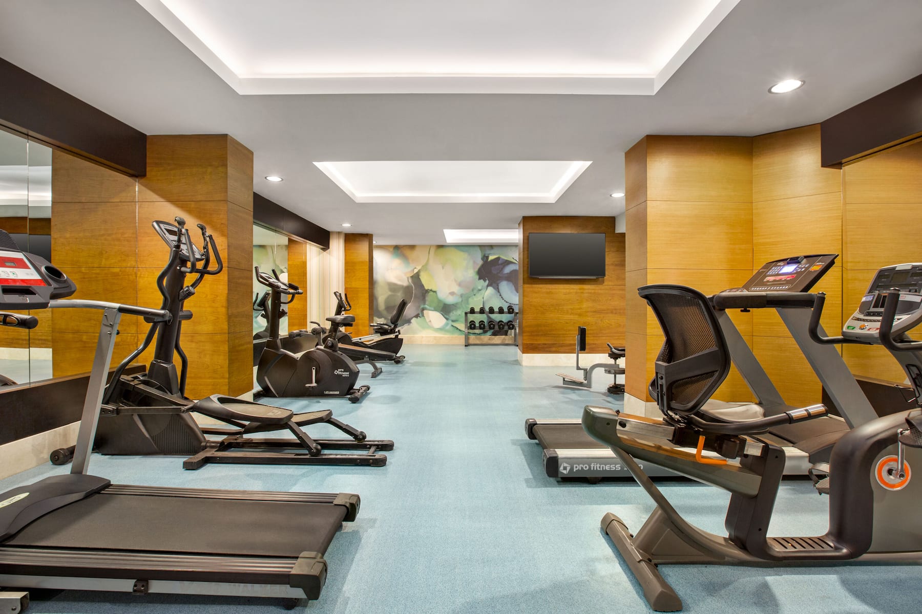 Fitness room at Wyndham Garden Lara in Antalya, Other than US/Canada
