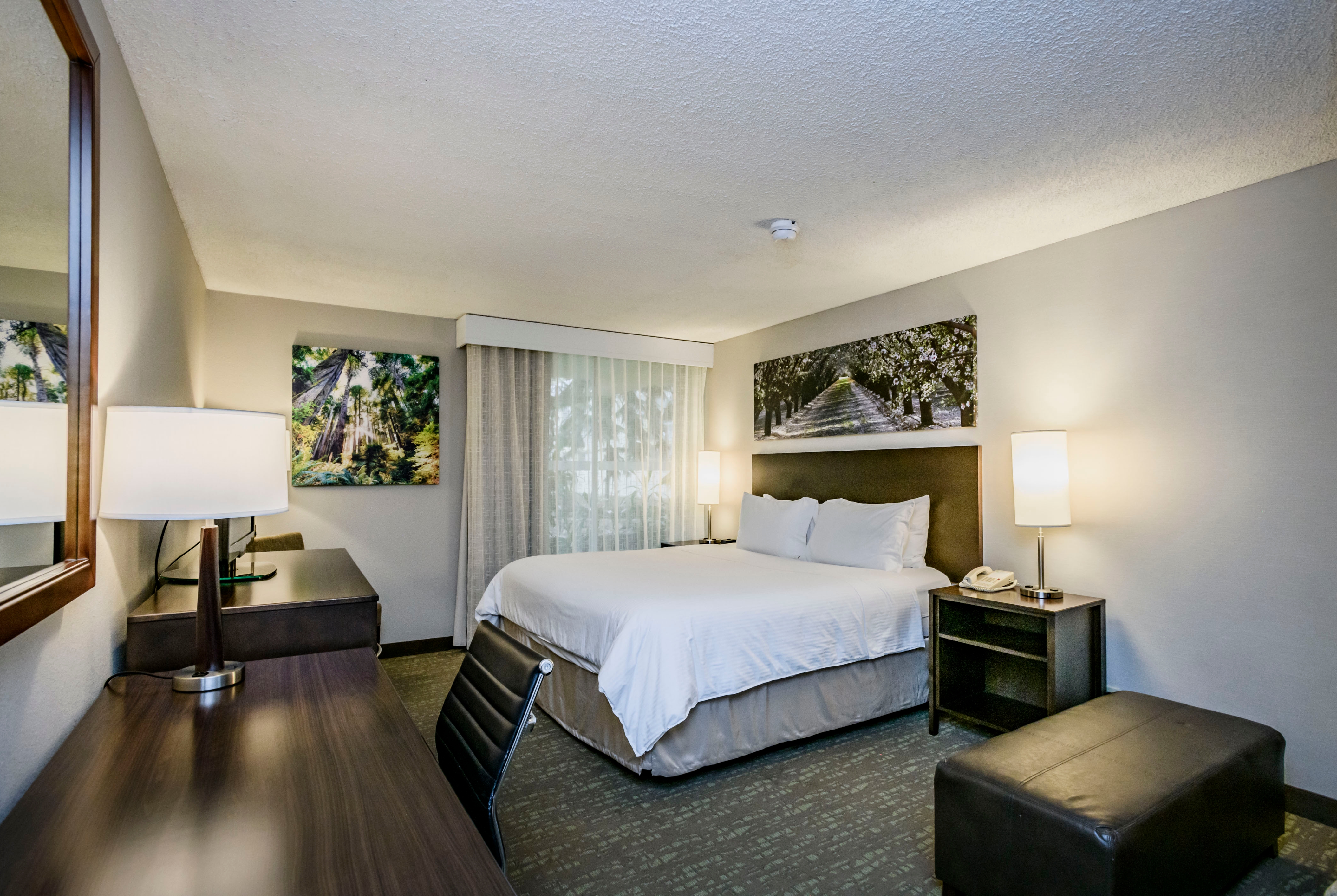 Guest room at the Wyndham Garden Fresno Yosemite Airport in Fresno, California