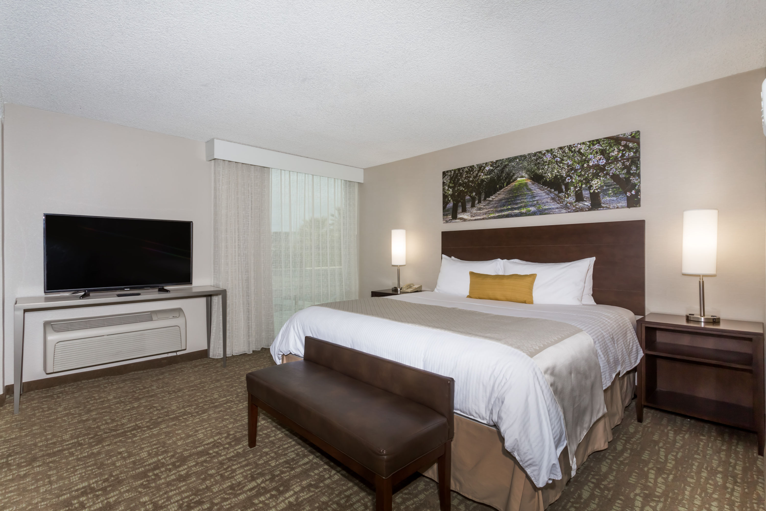 Wyndham Garden Fresno Yosemite Airport suite in Fresno, California