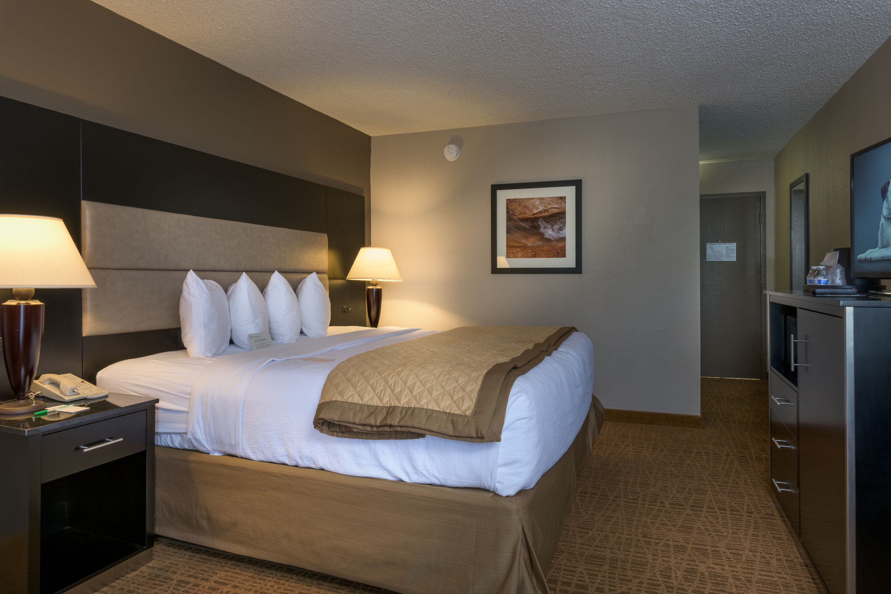 Guest room at the Wyndham Garden Boise Airport in Boise, Idaho