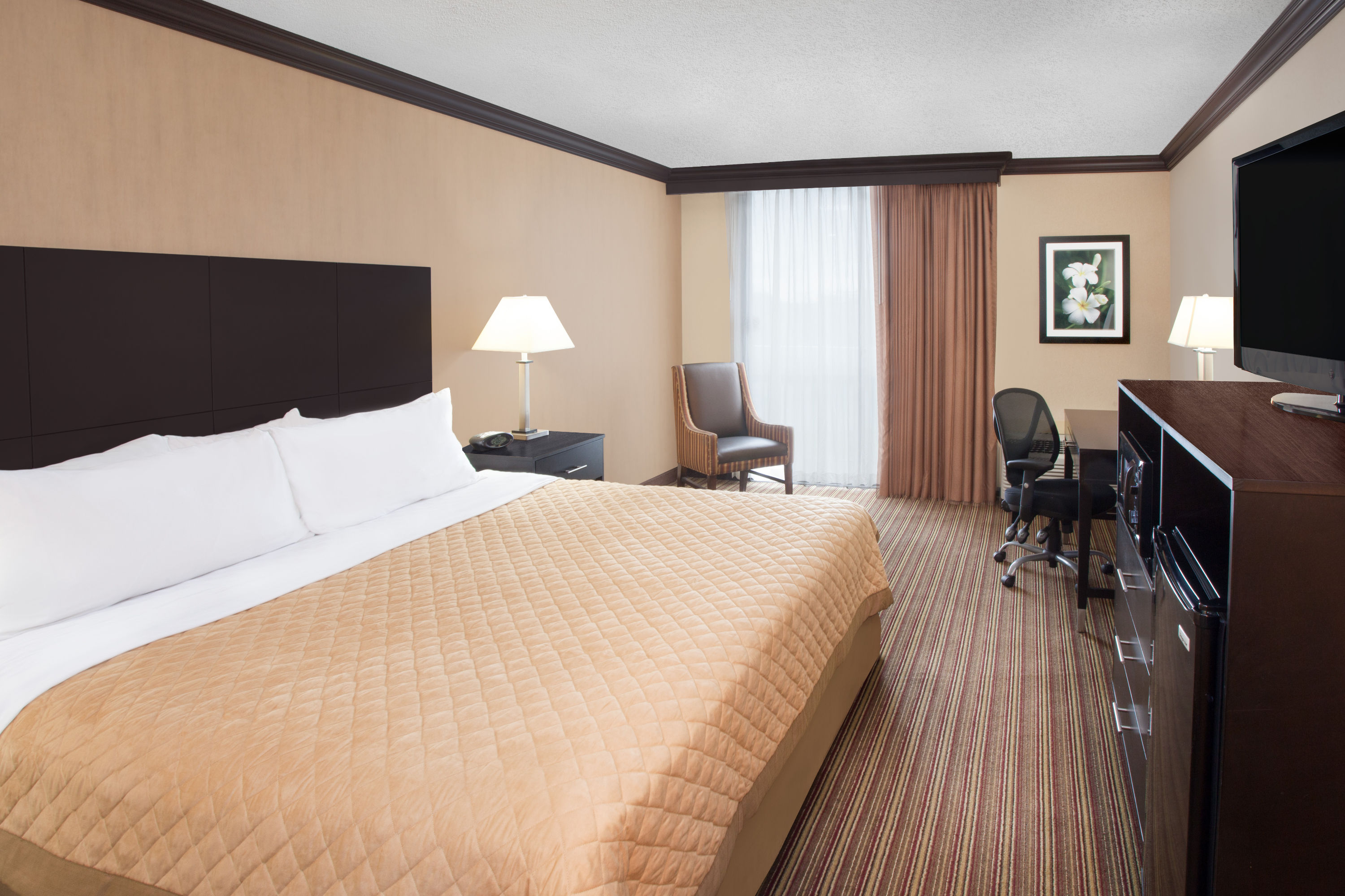 Wyndham Garden Schaumburg Chicago Northwest | Schaumburg, IL Hotels