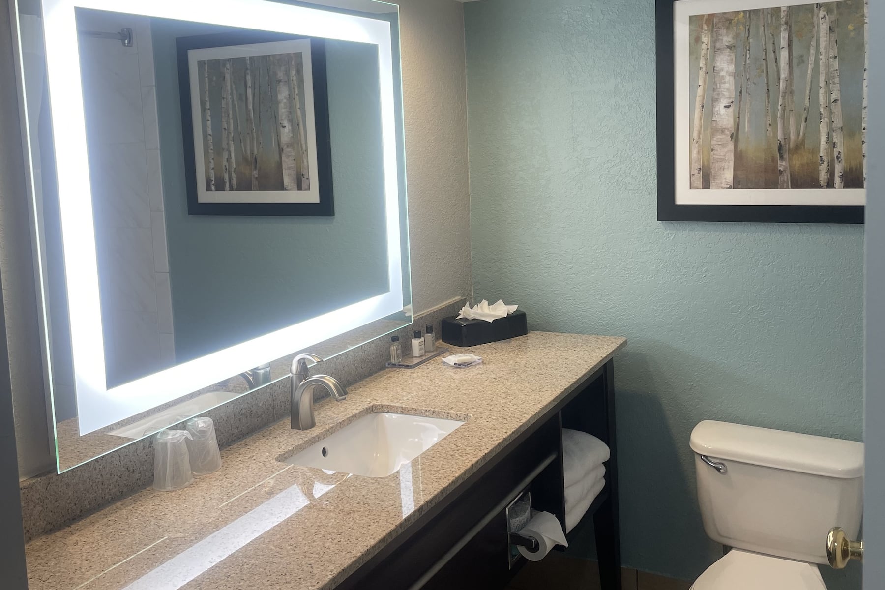 Guest room bath at the Wyndham Garden Ann Arbor in Ann Arbor, Michigan
