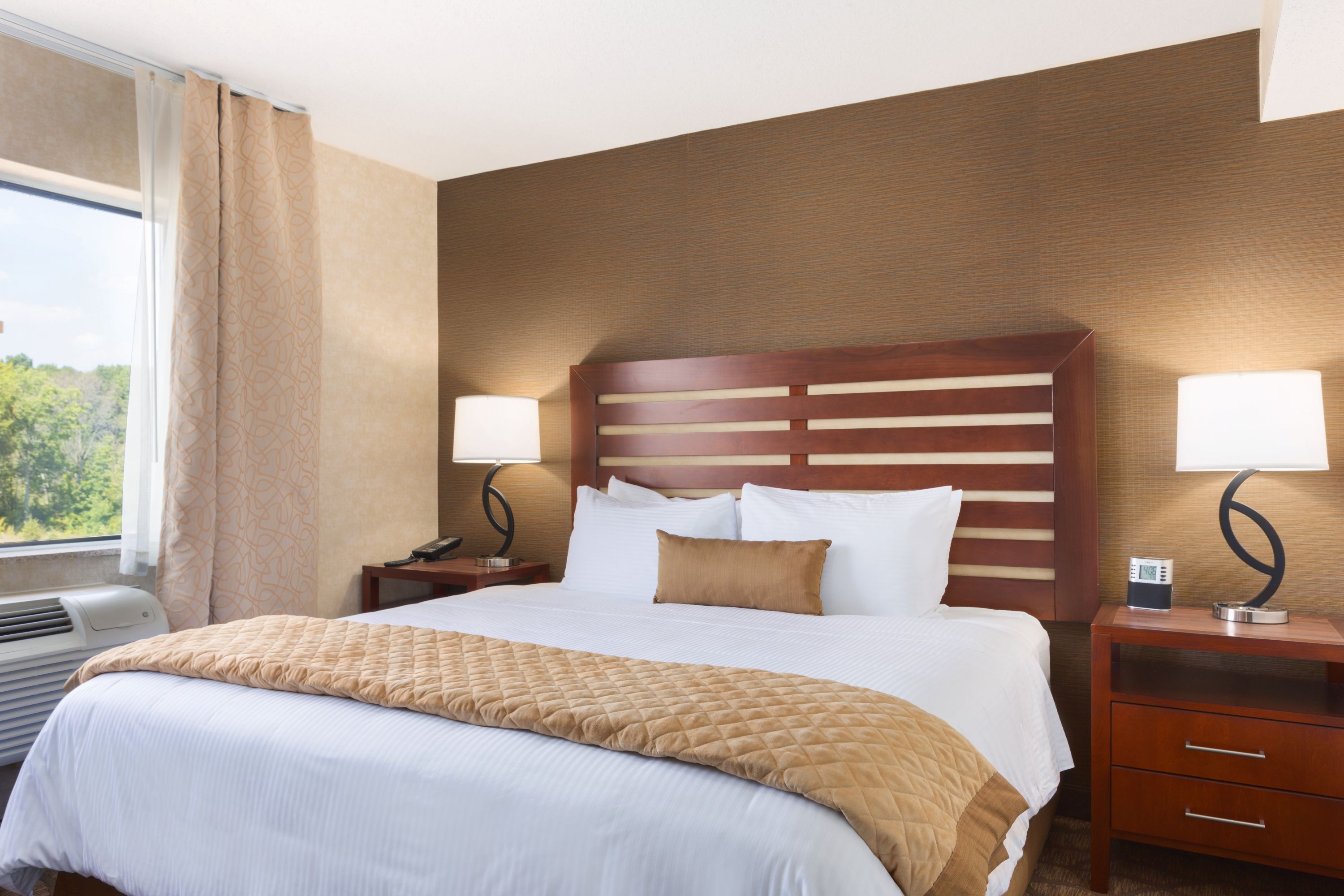 Wyndham Garden Grand Rapids Airport suite in Grand Rapids, Michigan
