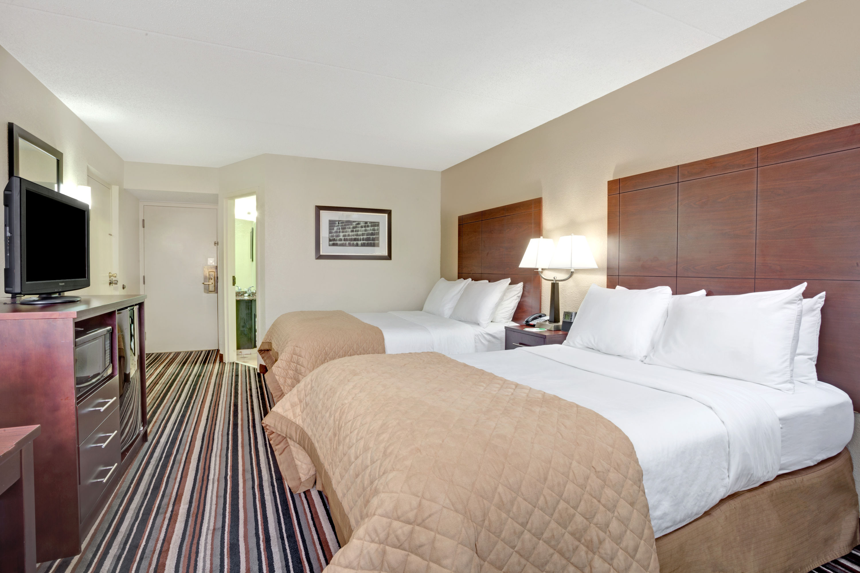 Guest room at the Wyndham Garden Charlotte Airport Southeast in Charlotte, North Carolina