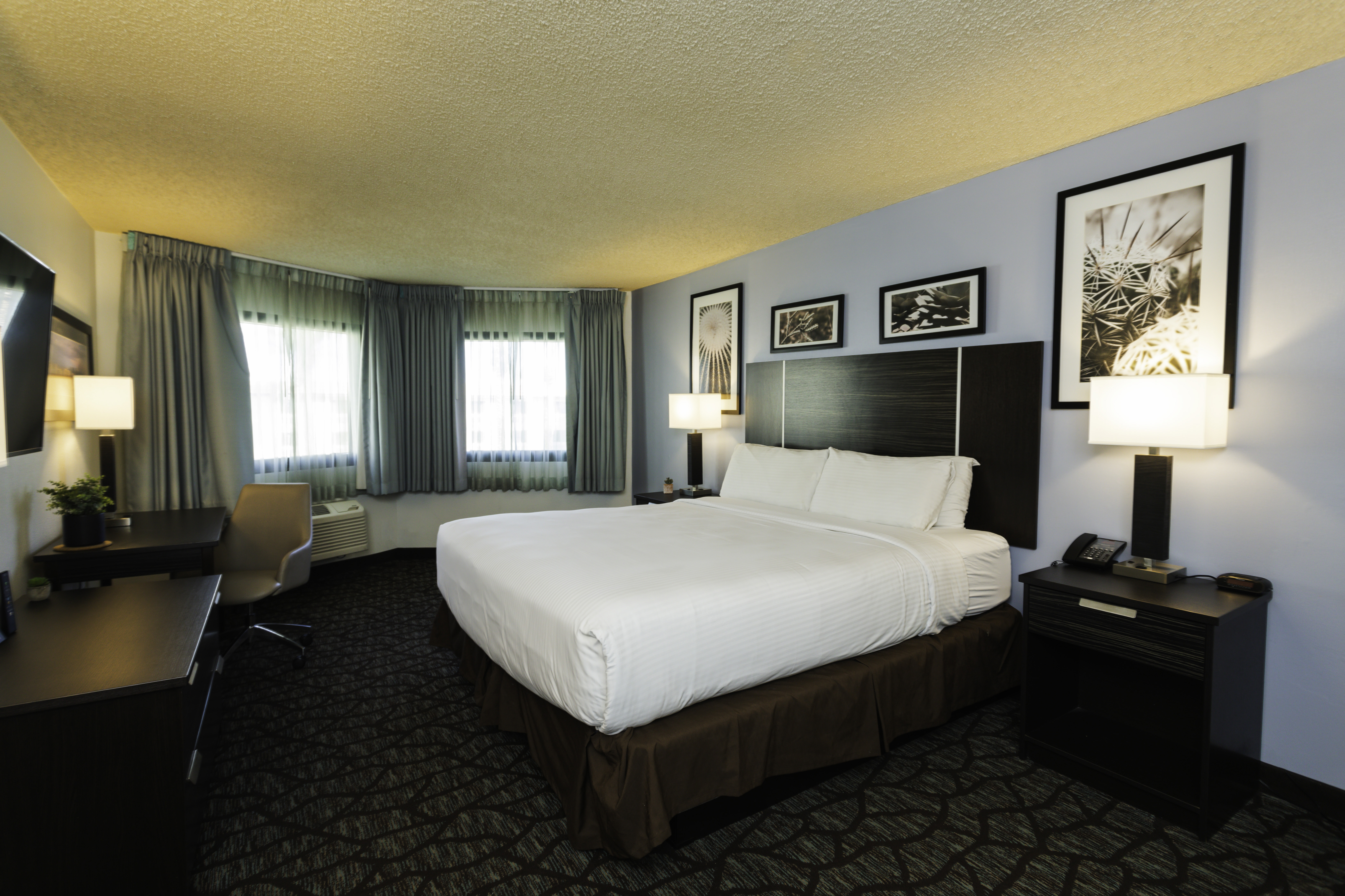 Guest room at the Silver Sevens Hotel and Casino, a Wyndham Garden in Las Vegas, Nevada