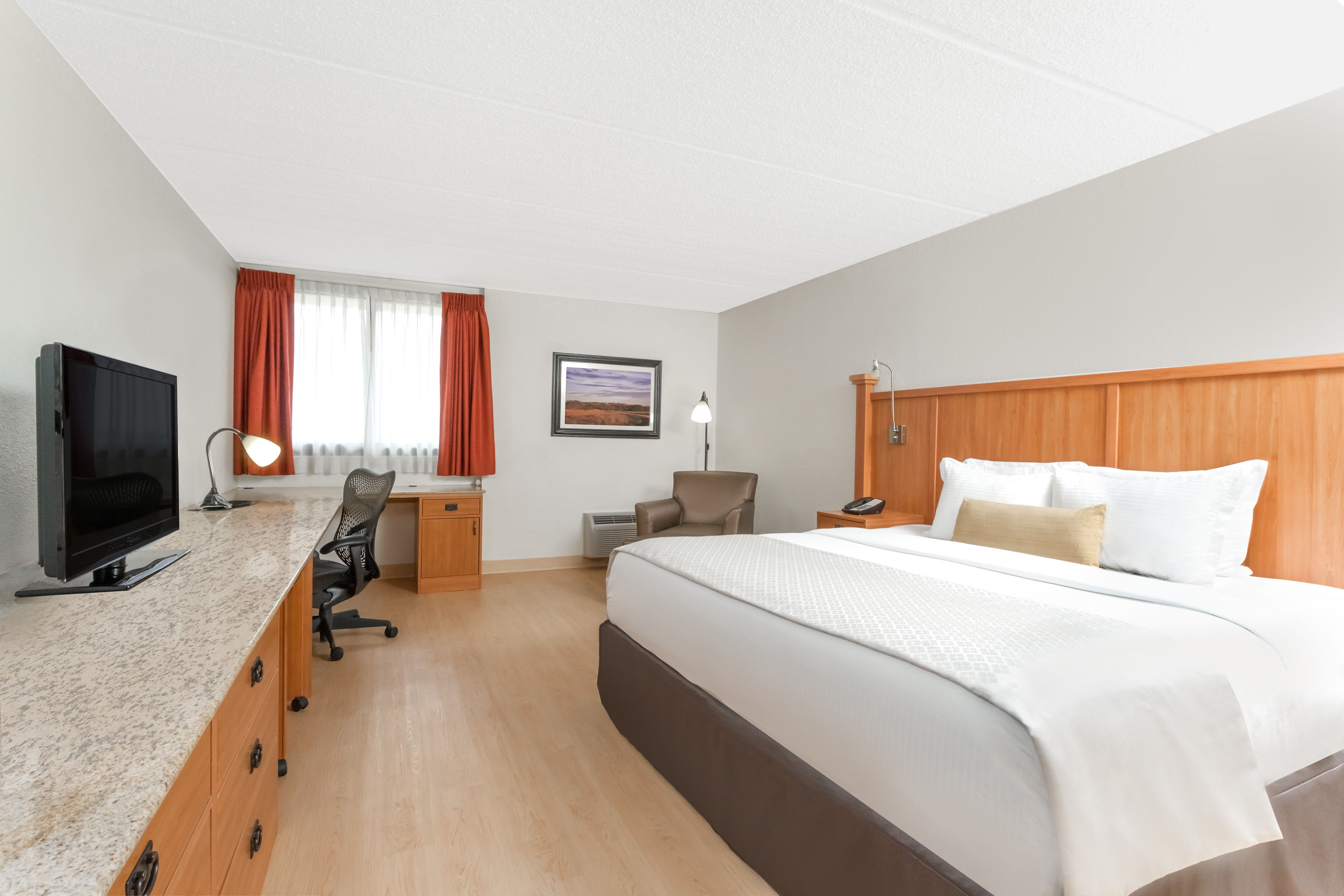 Guest room at the Wyndham Garden Austin in Austin, Texas