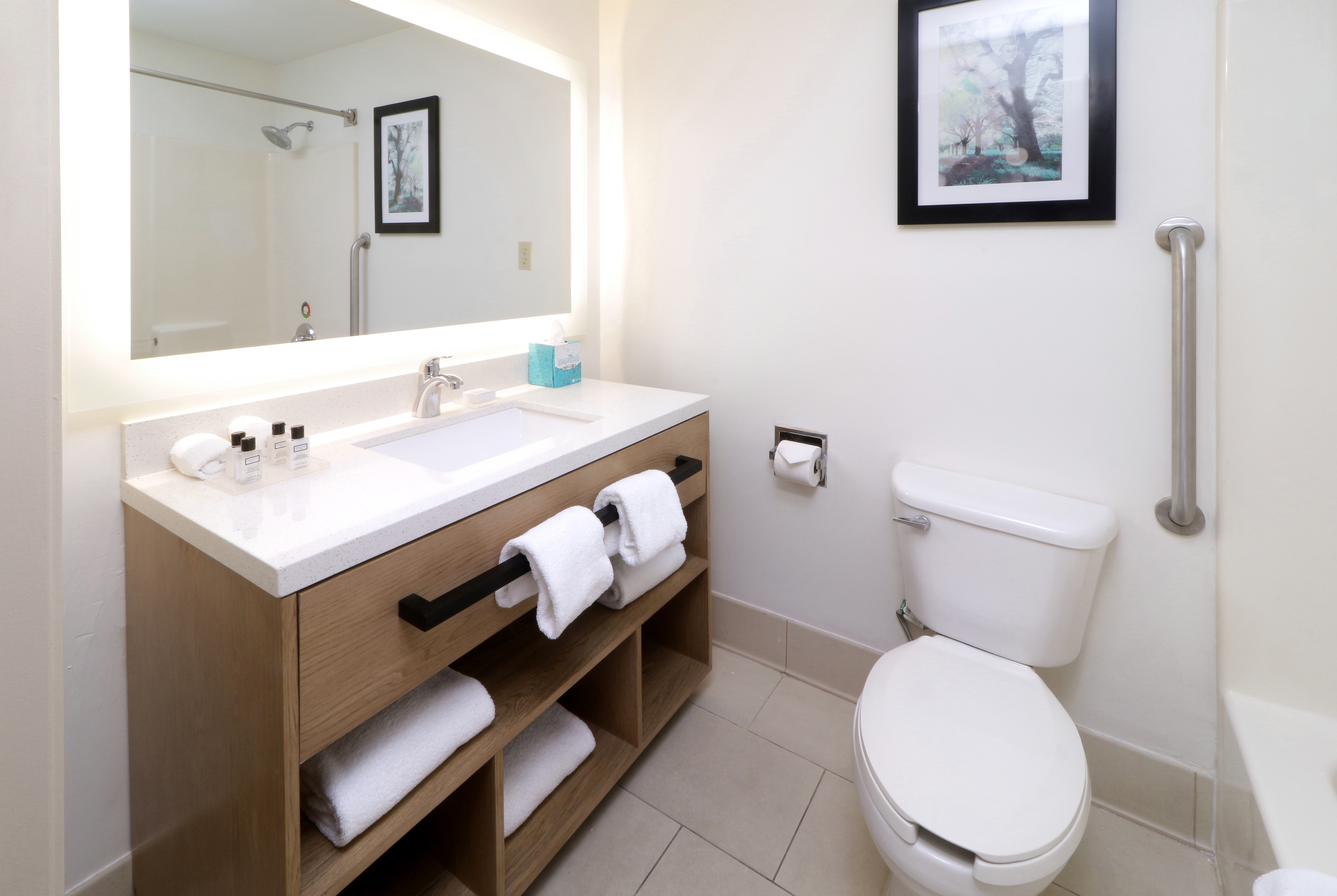 Guest room bath at the Wyndham Garden McAllen At La Plaza Mall in McAllen, Texas