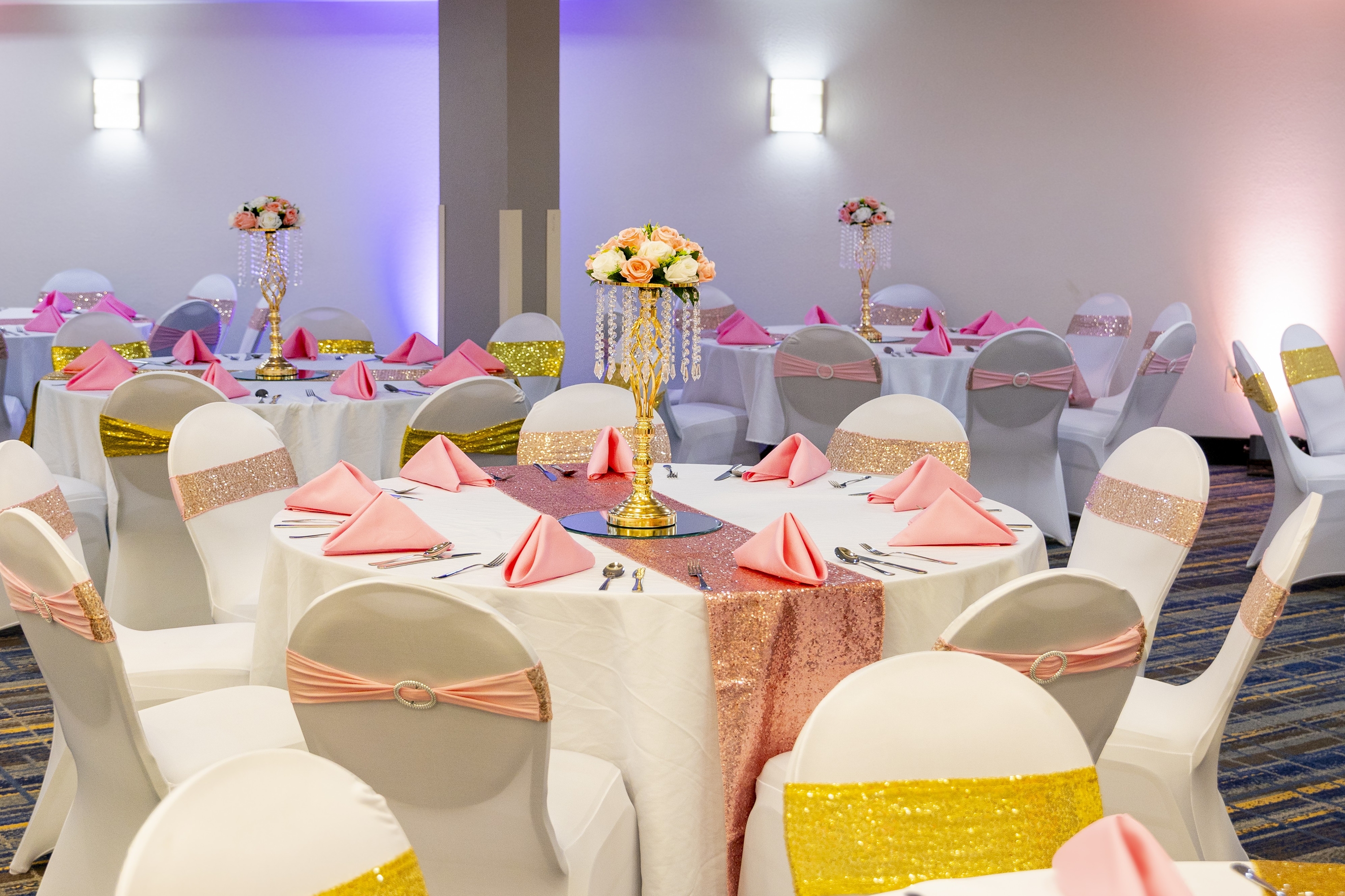 Wyndham Garden Madison Fitchburg ballroom in Fitchburg, Wisconsin