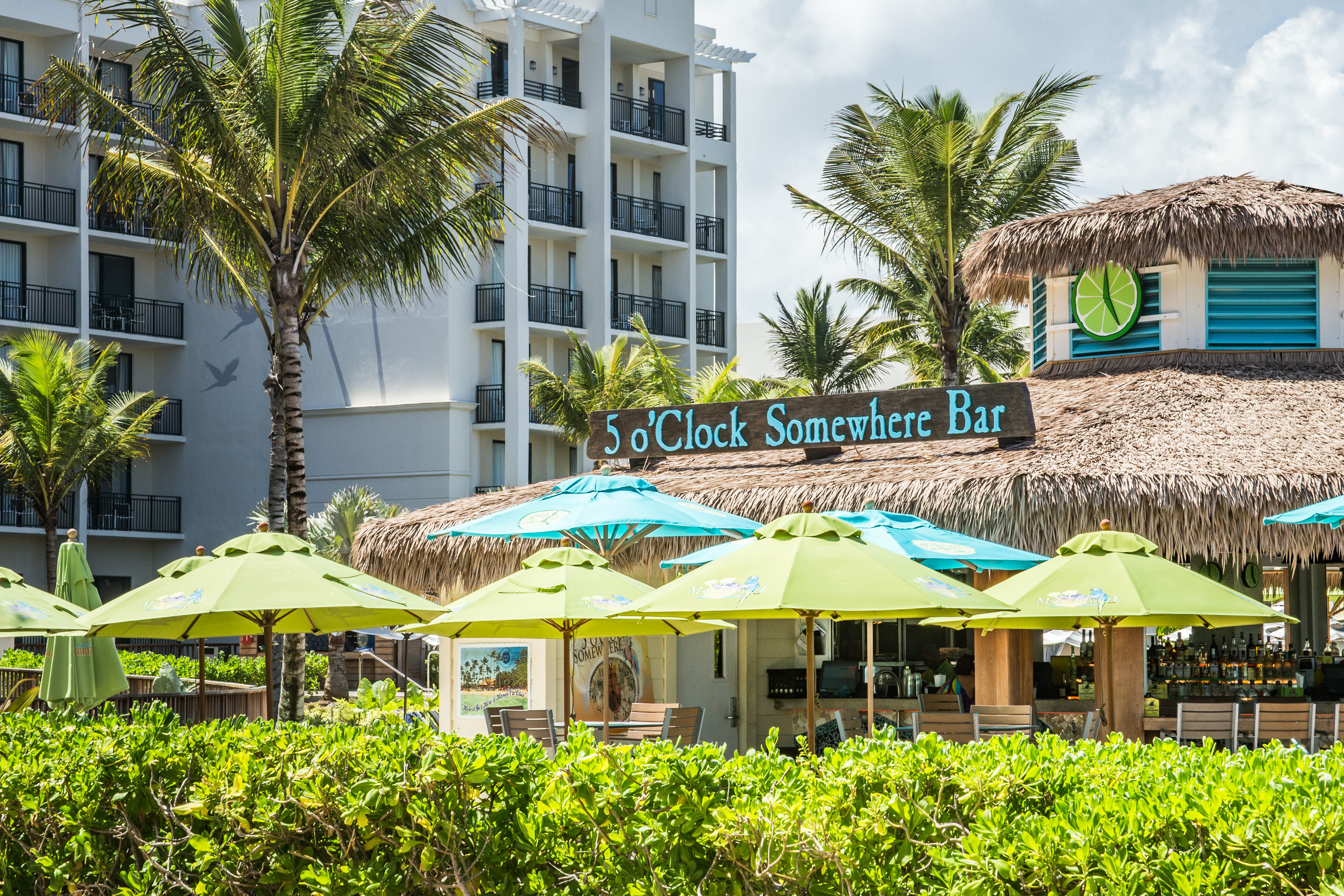 Bar at Wyndham Grand Rio Mar Rainforest Beach and Golf Resort in Rio Grande, Other than US/Canada
