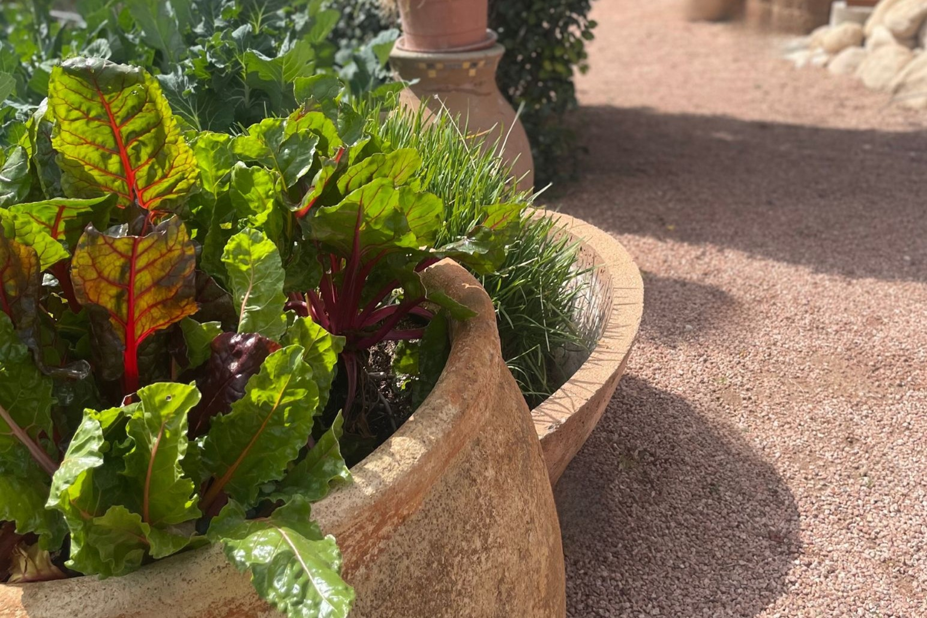 Property amenity at Westward Look Wyndham Grand Resort and Spa in Tucson, Arizona