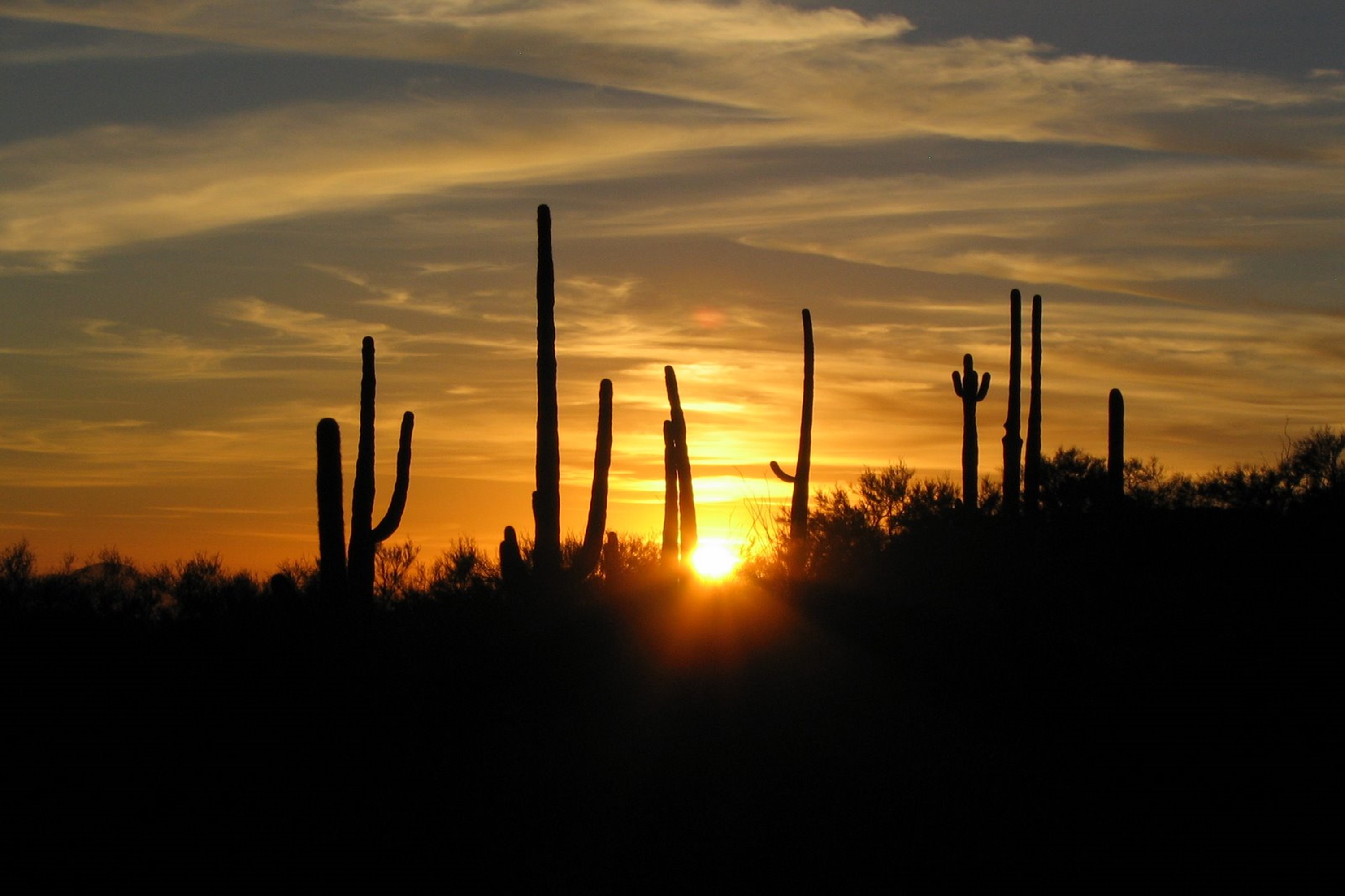 Scenic Image of Westward Look Wyndham Grand Resort and Spa hotel in Tucson, Arizona