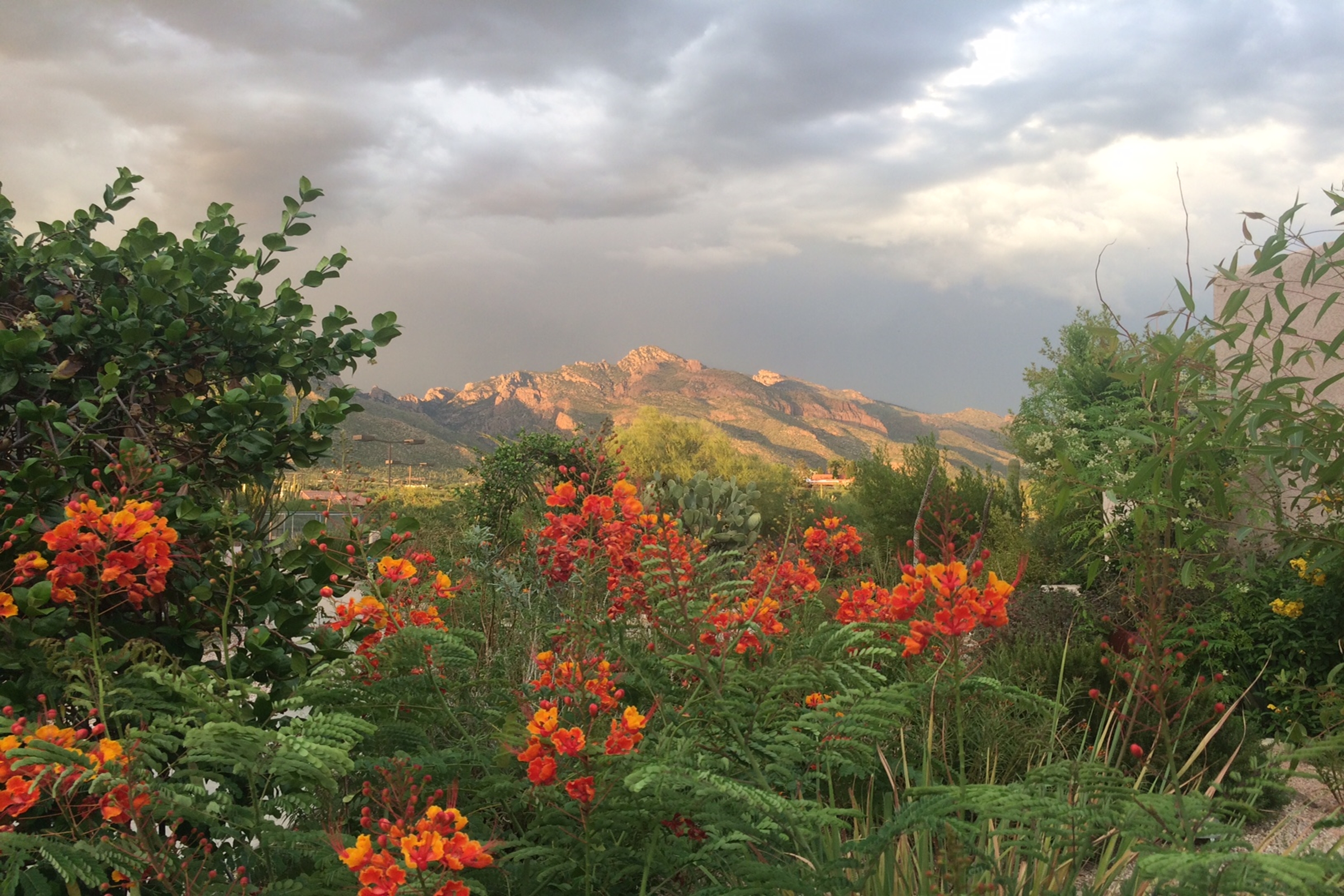 Scenic Image of Westward Look Wyndham Grand Resort and Spa hotel in Tucson, Arizona
