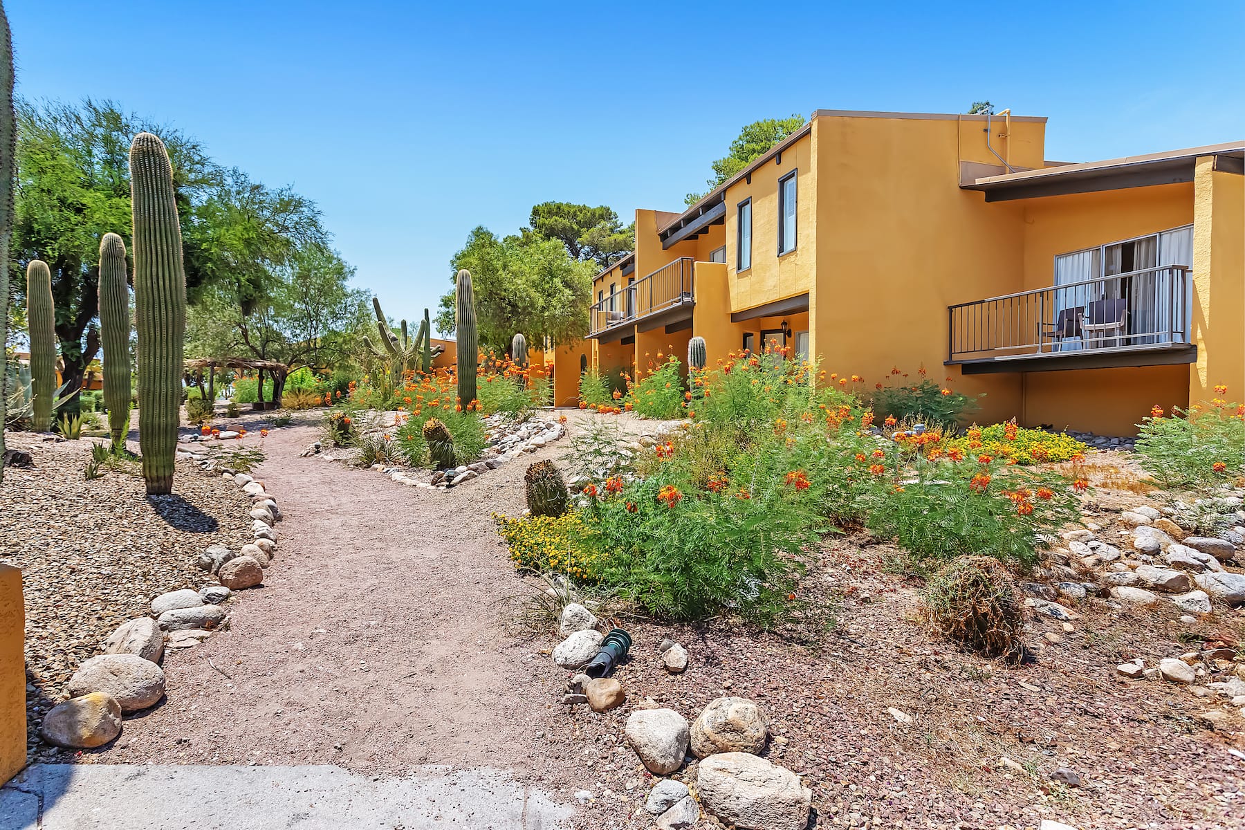 Property amenity at Westward Look Wyndham Grand Resort and Spa in Tucson, Arizona