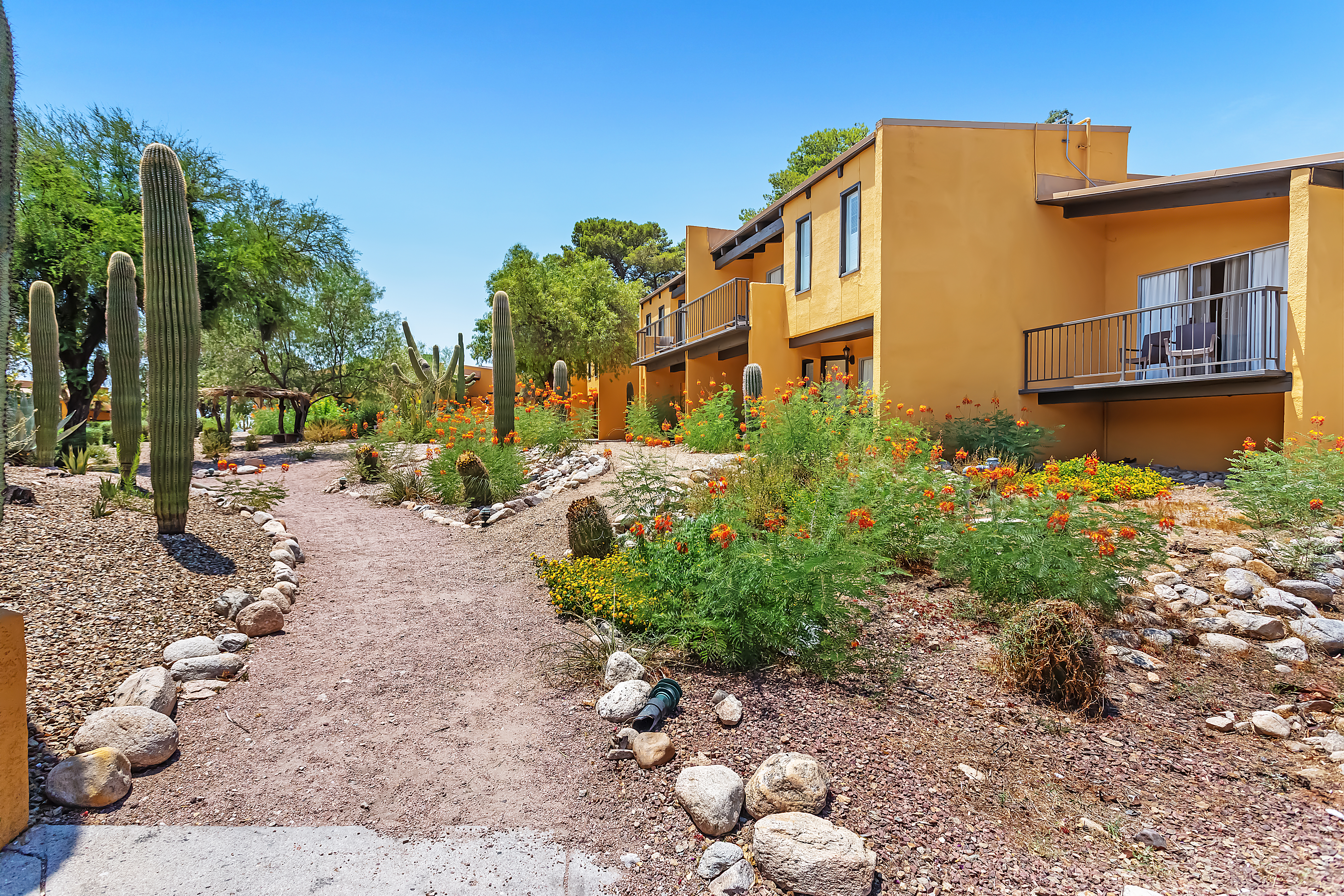 Property amenity at Westward Look Wyndham Grand Resort and Spa in Tucson, Arizona