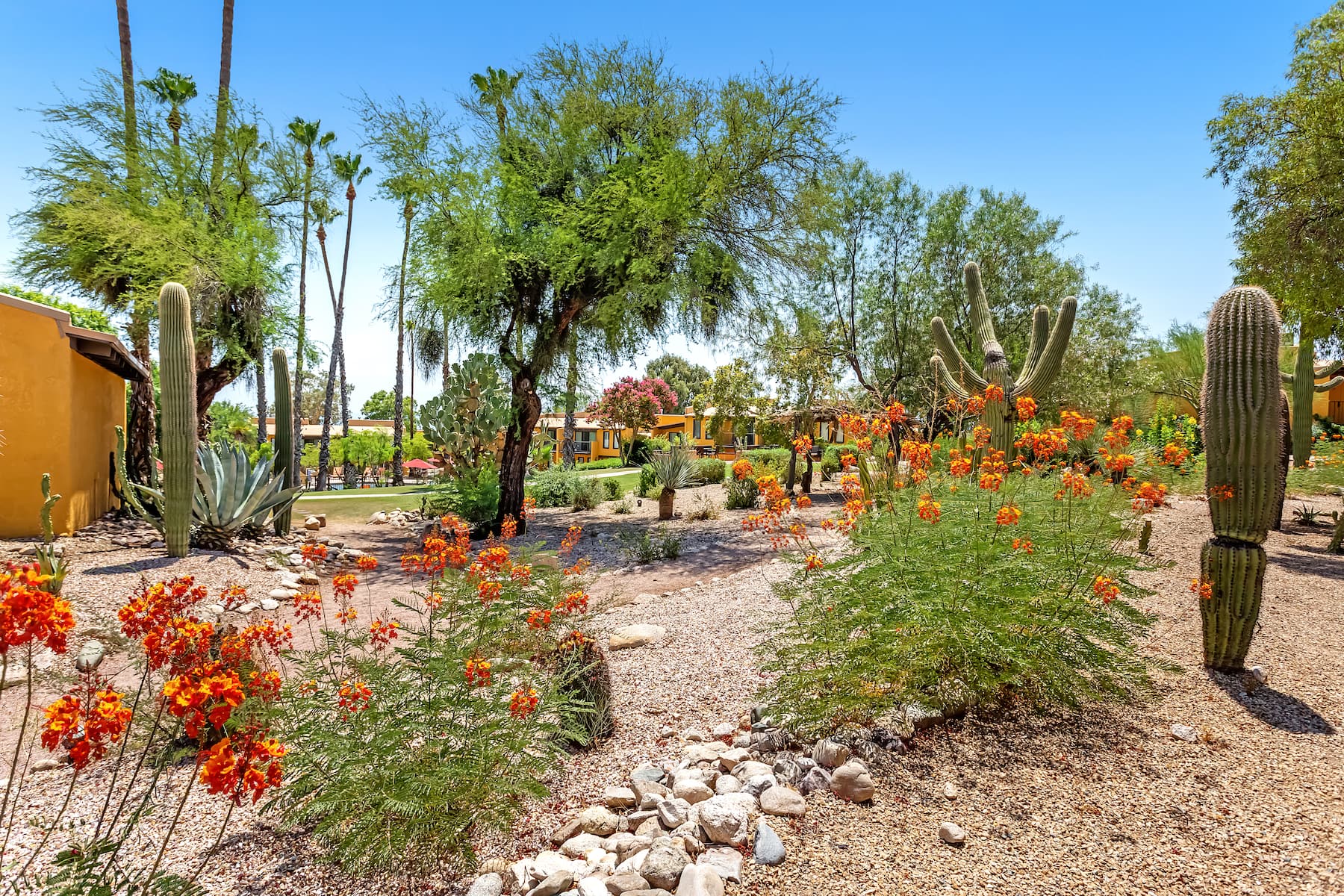 Property amenity at Westward Look Wyndham Grand Resort and Spa in Tucson, Arizona