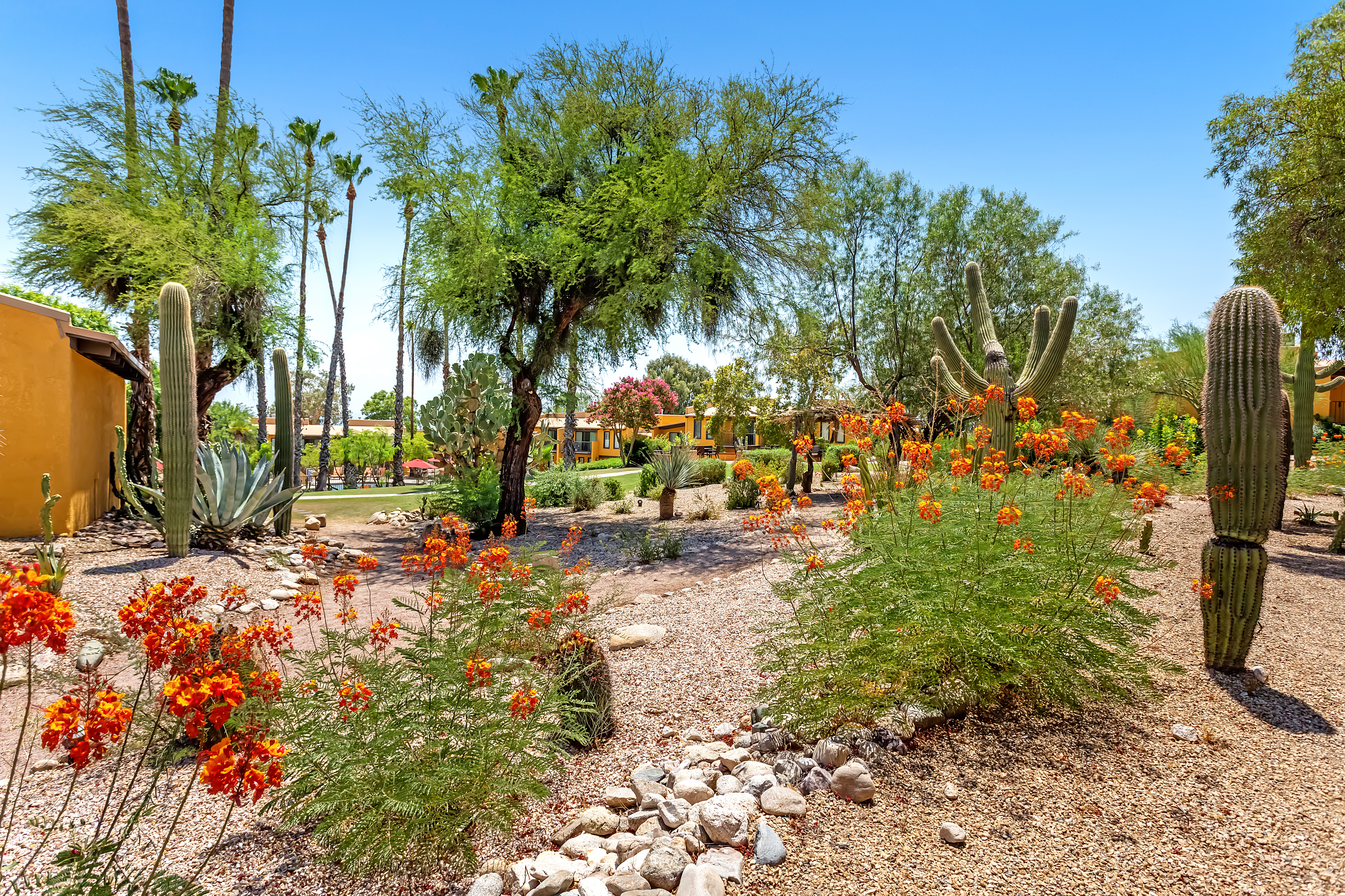 Property amenity at Westward Look Wyndham Grand Resort and Spa in Tucson, Arizona