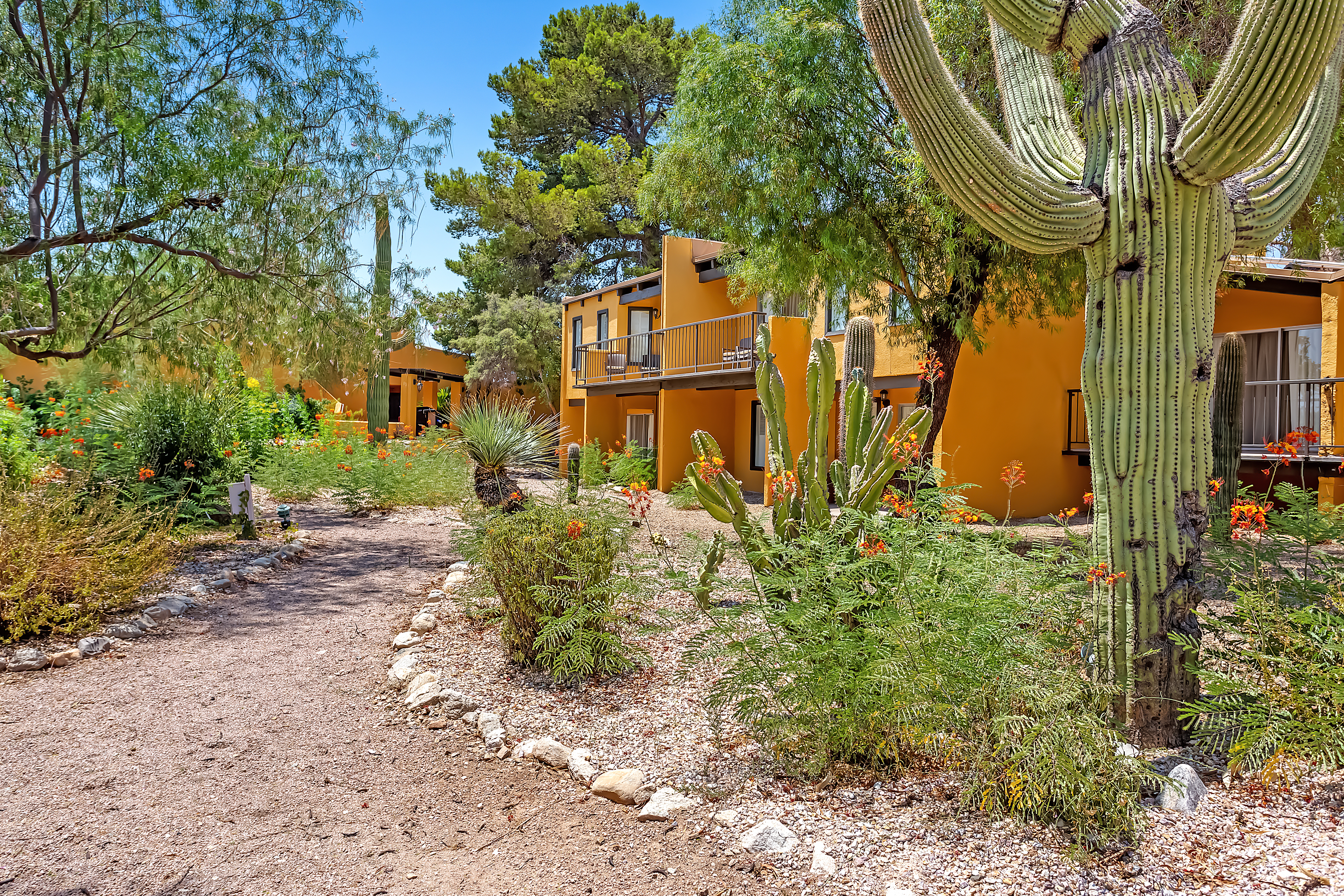 Property amenity at Westward Look Wyndham Grand Resort and Spa in Tucson, Arizona