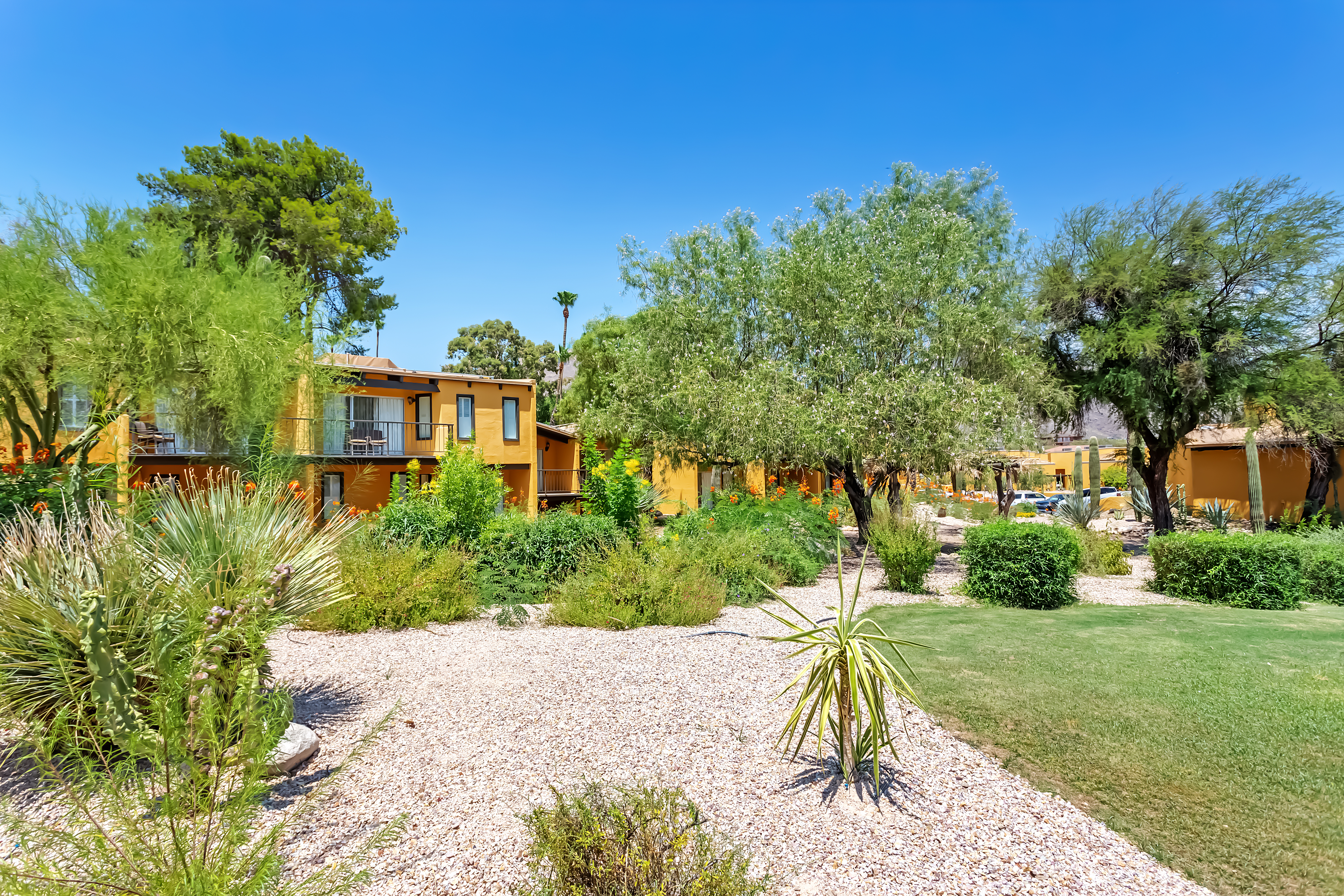 Property amenity at Westward Look Wyndham Grand Resort and Spa in Tucson, Arizona