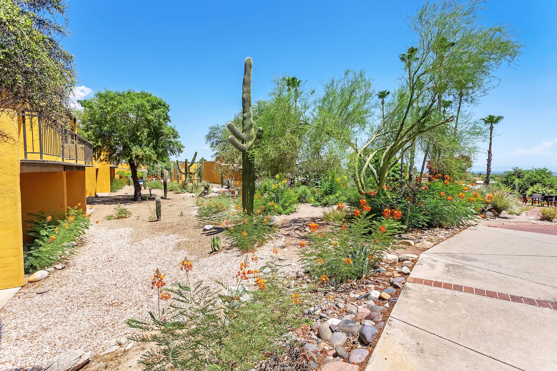 Property amenity at Westward Look Wyndham Grand Resort and Spa in Tucson, Arizona