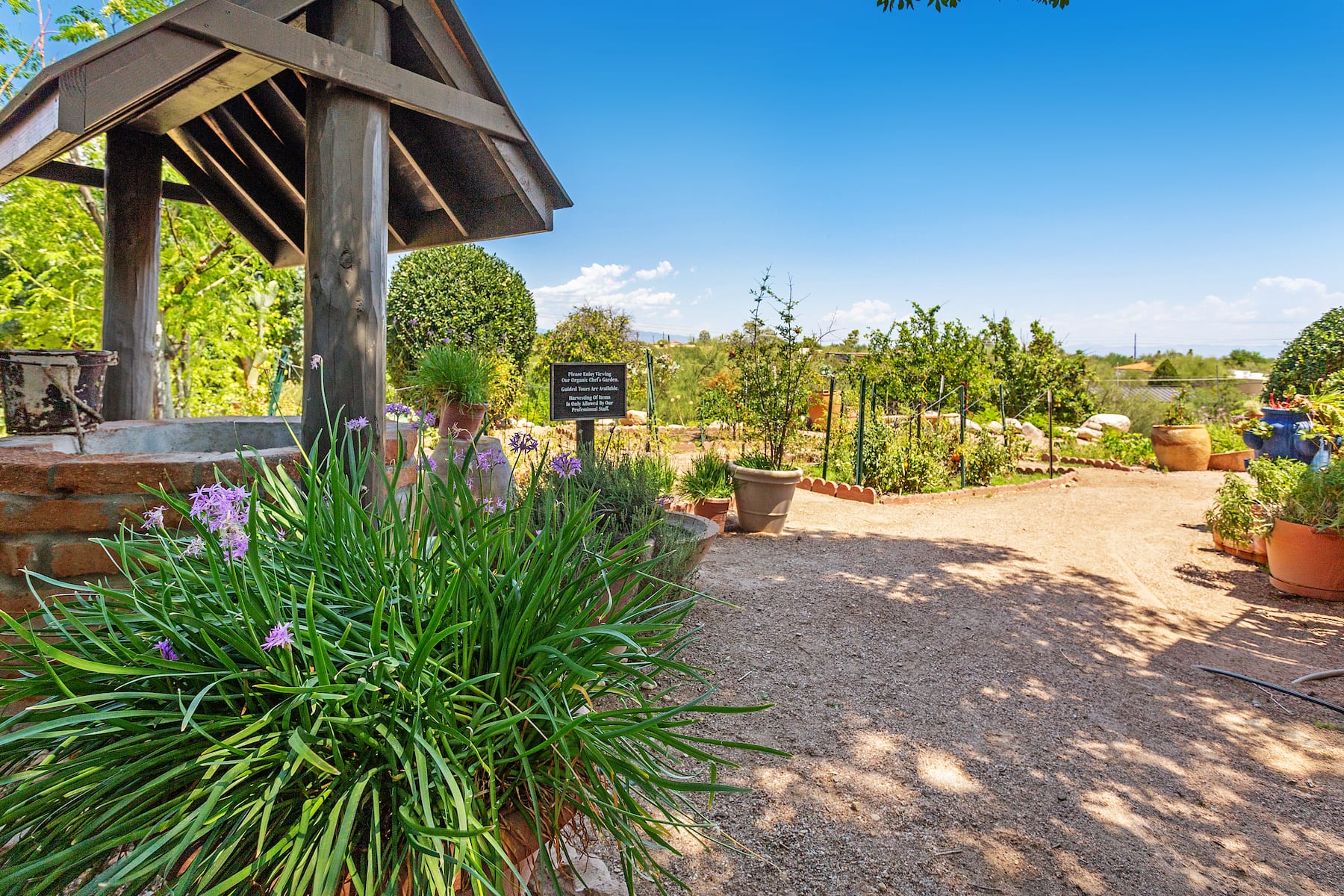 Property amenity at Westward Look Wyndham Grand Resort and Spa in Tucson, Arizona