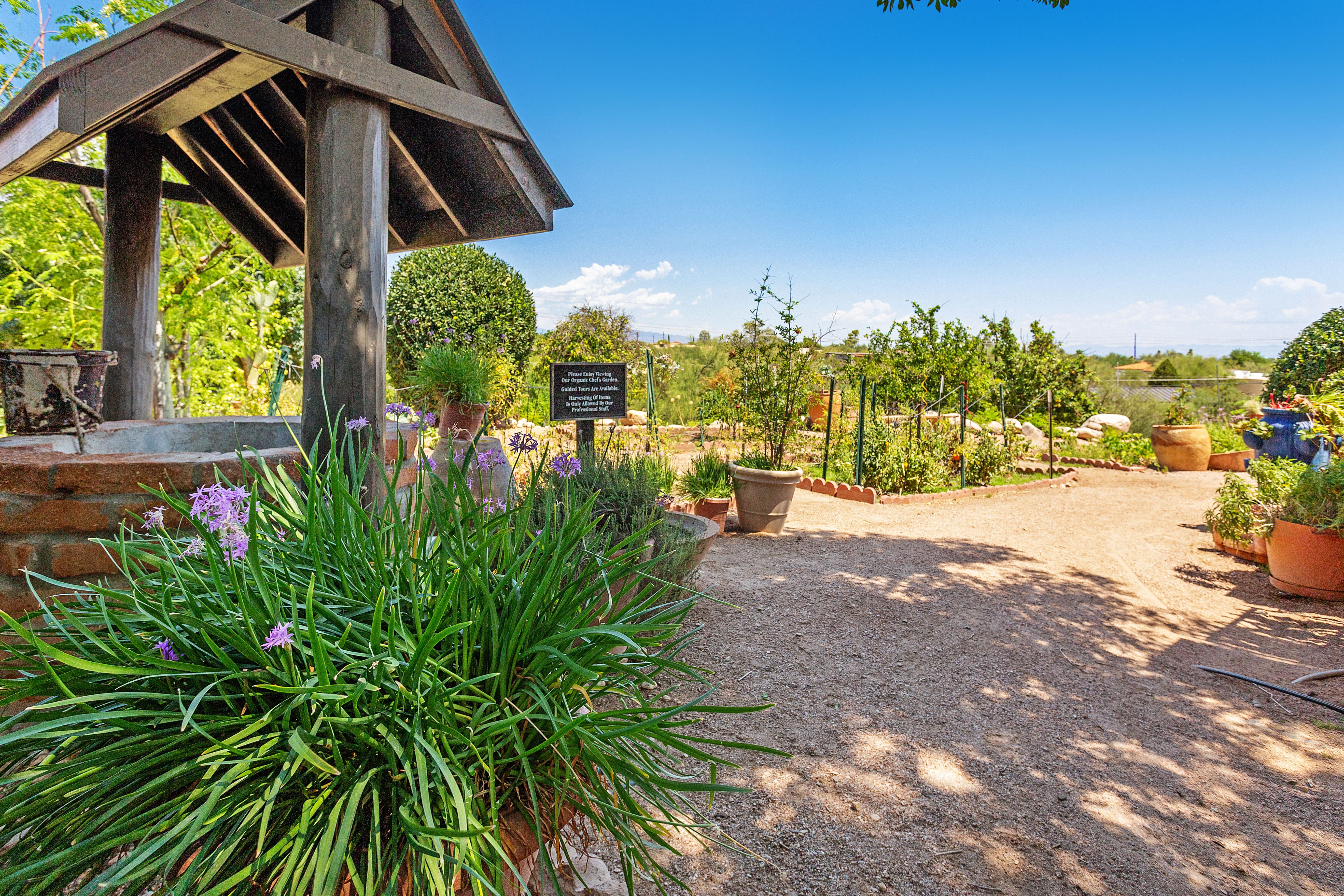 Property amenity at Westward Look Wyndham Grand Resort and Spa in Tucson, Arizona