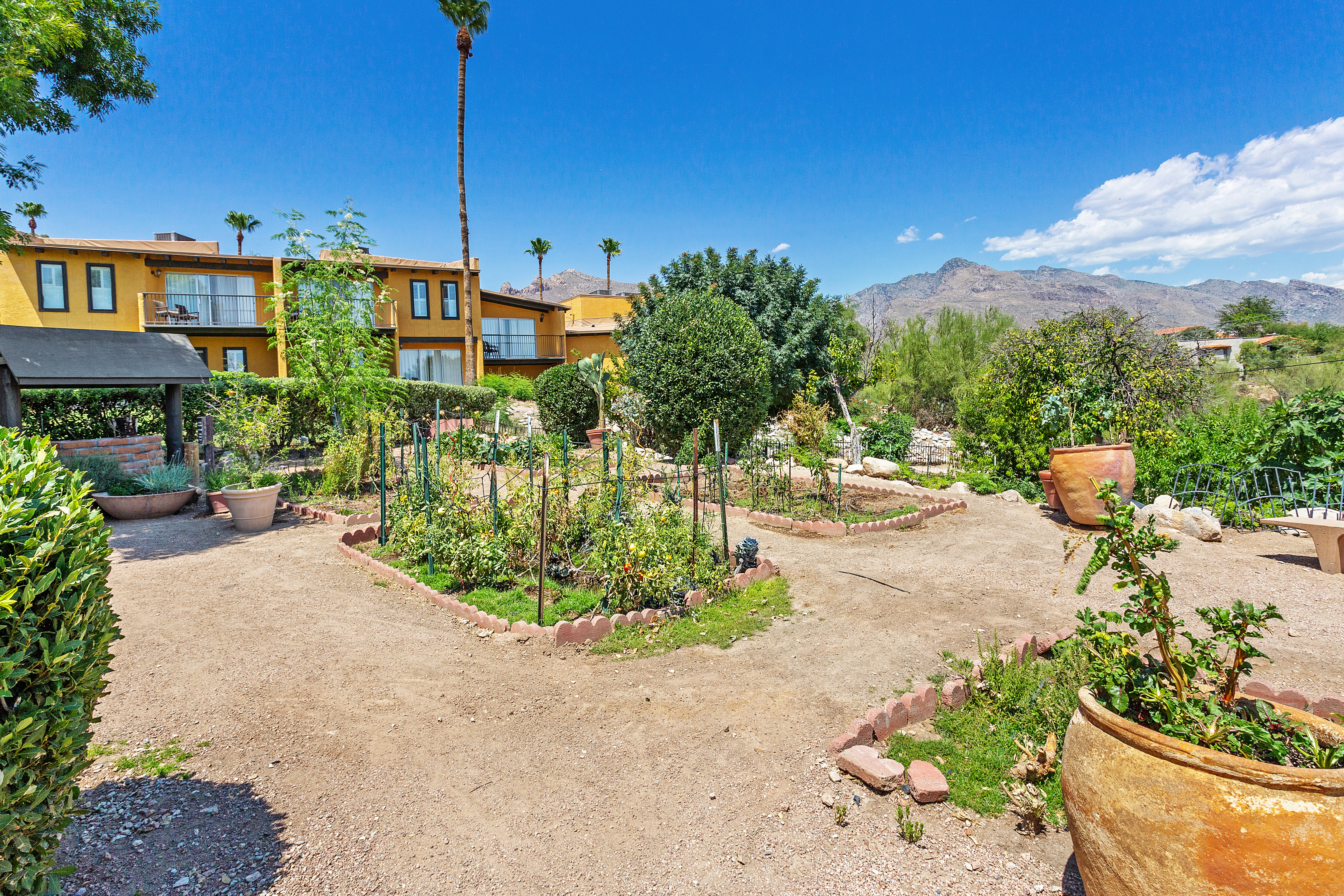Property amenity at Westward Look Wyndham Grand Resort and Spa in Tucson, Arizona