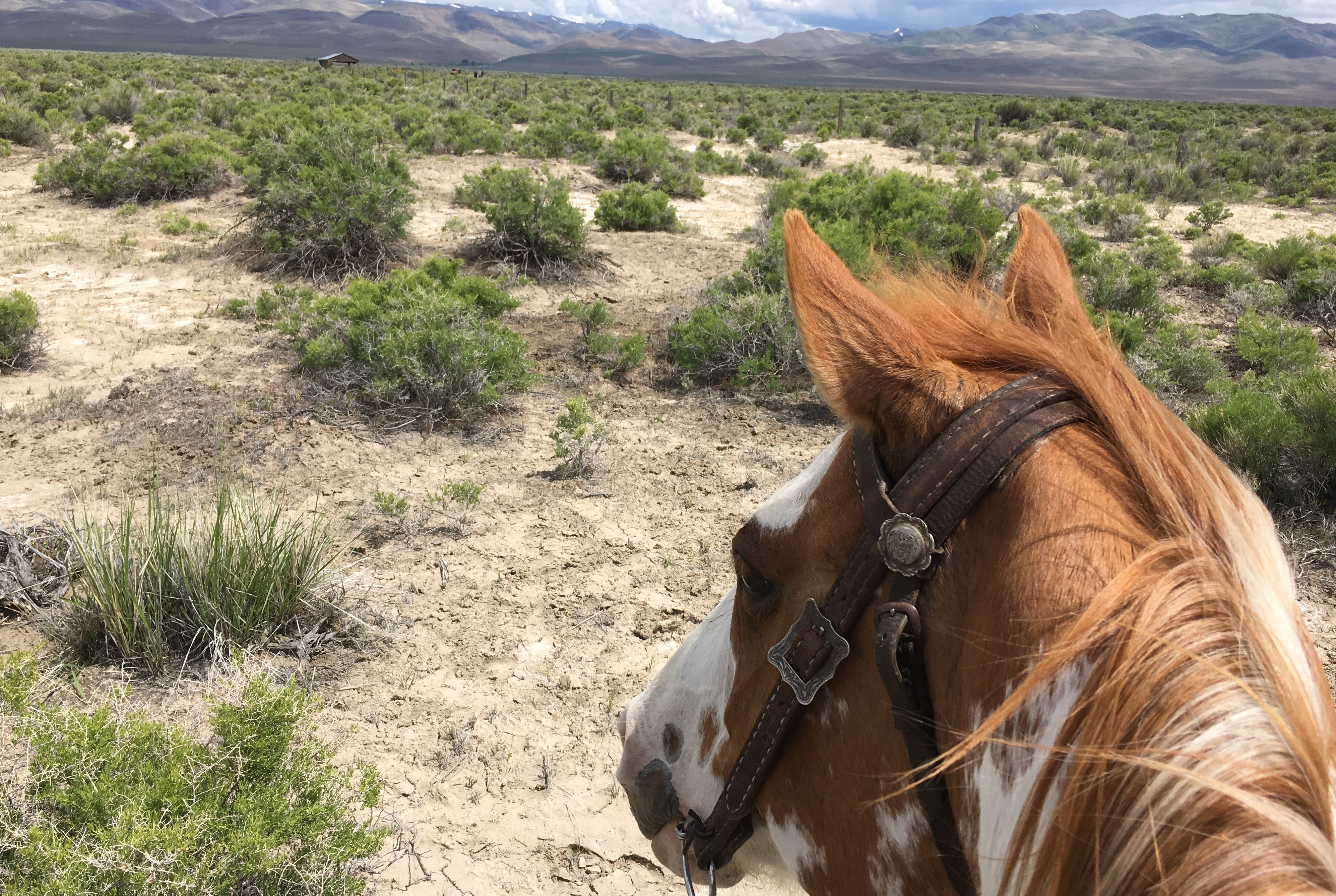 Property amenity at Westward Look Wyndham Grand Resort and Spa in Tucson, Arizona