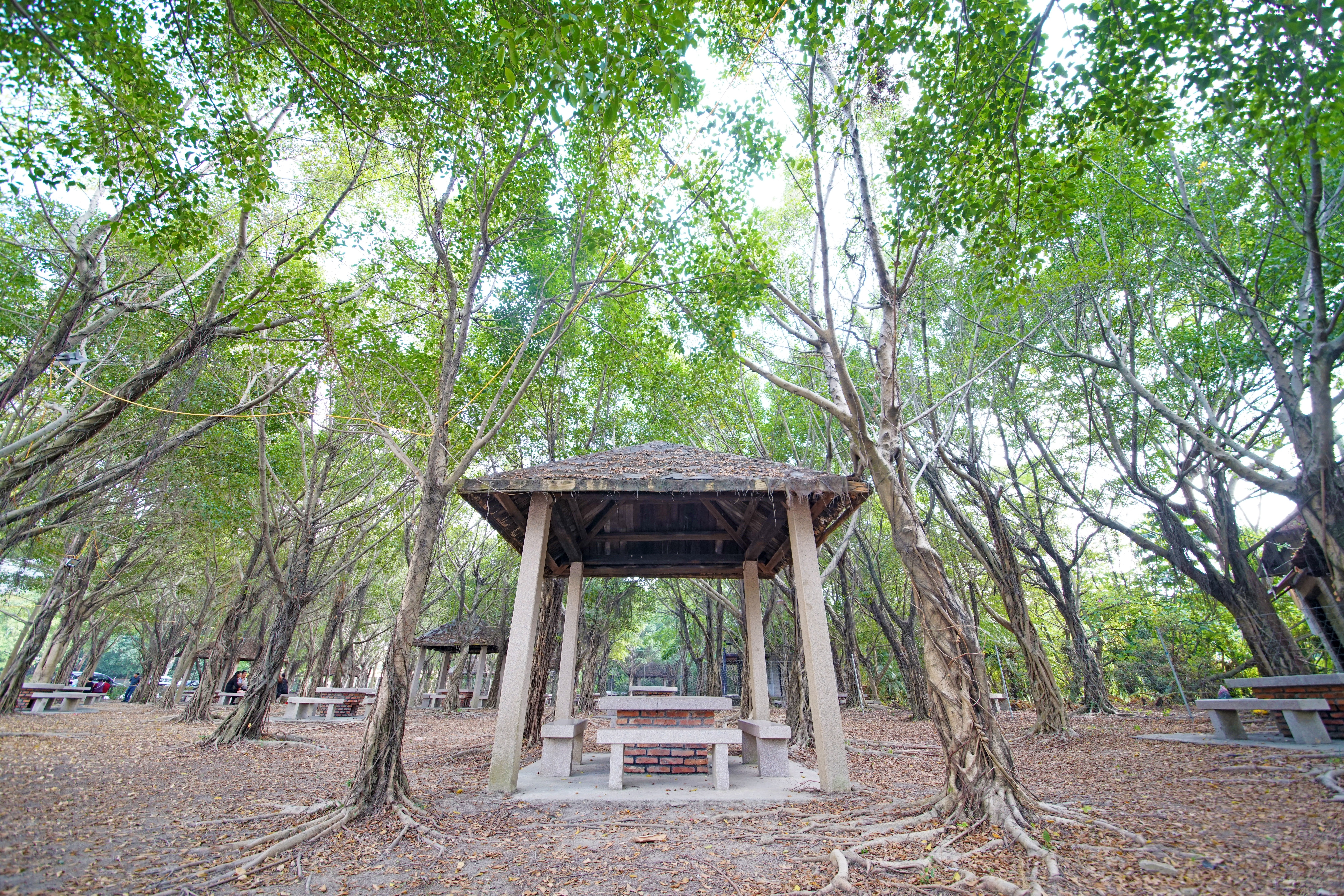 BBQ grill at Howard Johnson by Wyndham Hot Springs Hotel Chaozhou in Chaozhou, Other than US/Canada