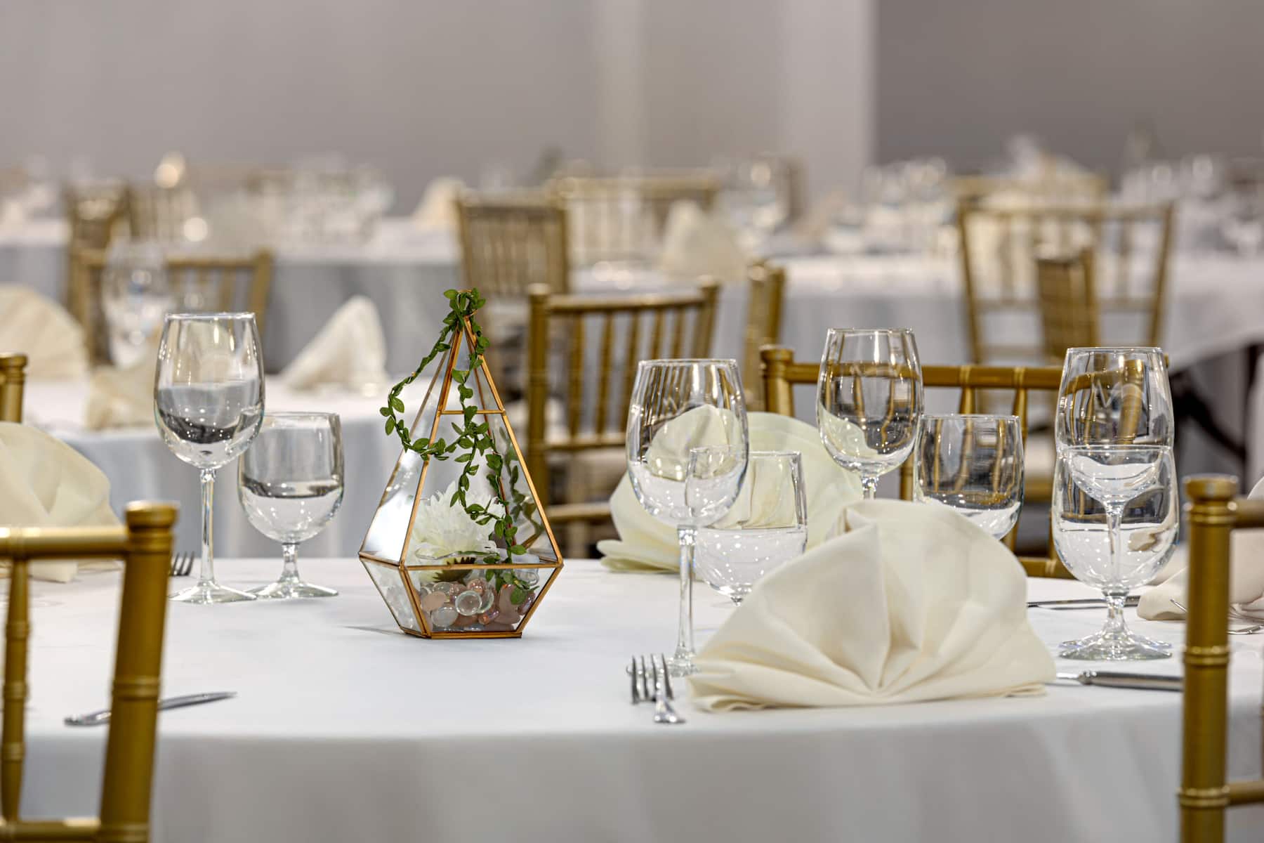 Wyndham Edmonton Hotel and Conference Centre ballroom in Edmonton, Alberta