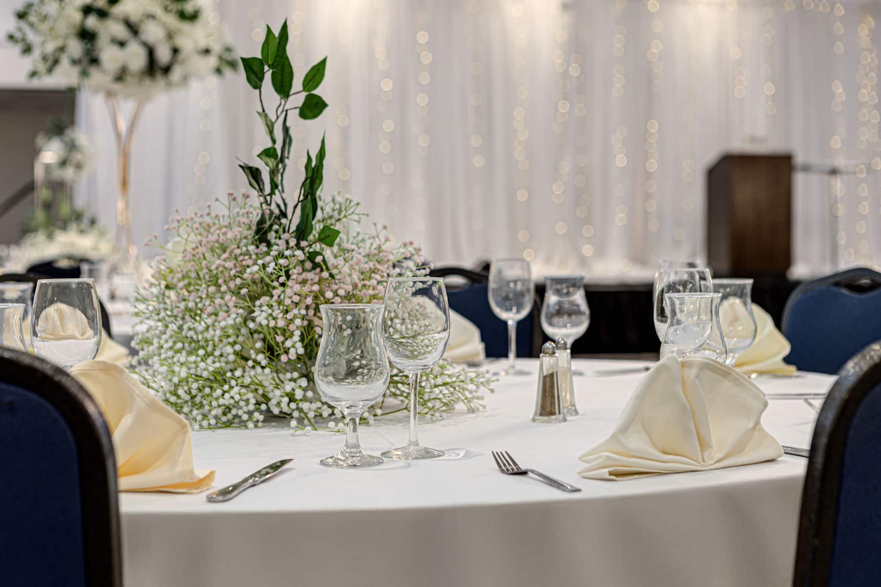 Wyndham Edmonton Hotel and Conference Centre ballroom in Edmonton, Alberta