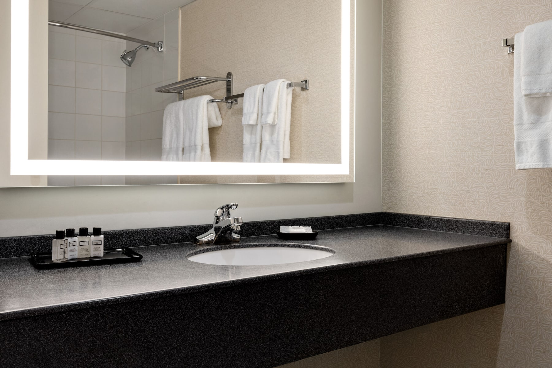Guest room bath at the Wyndham Edmonton Hotel and Conference Centre in Edmonton, Alberta