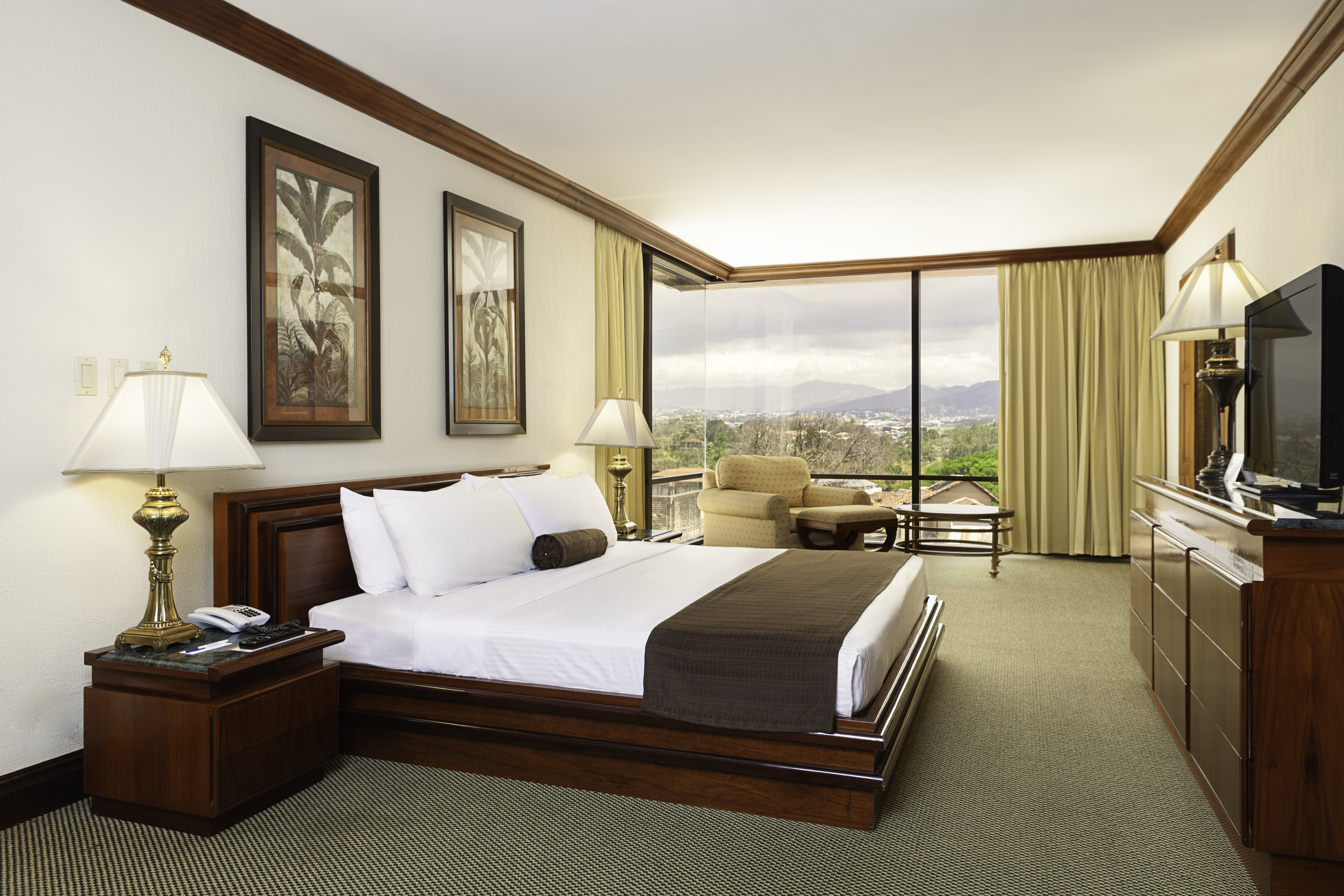 wyndham hotel san jose