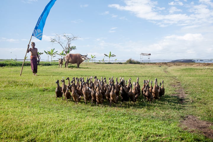 Property amenity at Wyndham Tamansari Jivva Resort Bali in Bali, Other than US/Canada