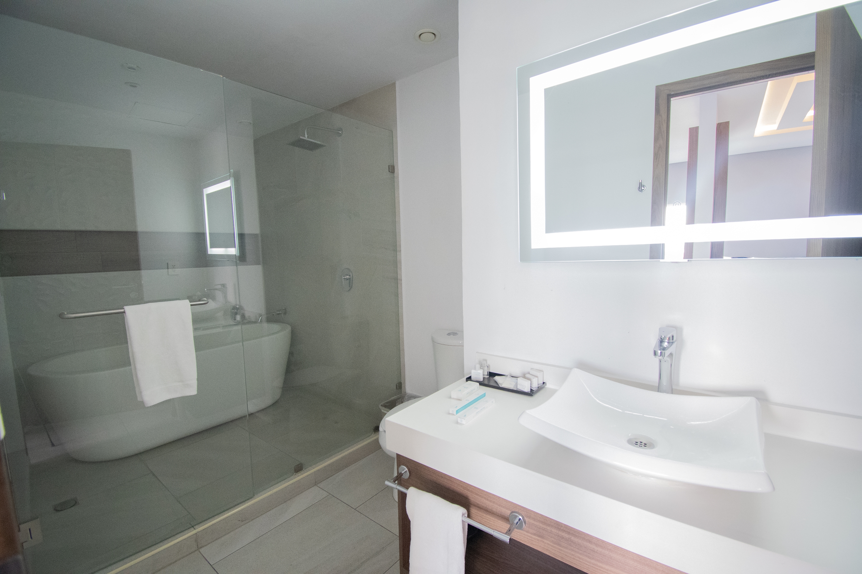 Guest room bath at the Wyndham Puebla Angelopolis in Puebla, Other than US/Canada