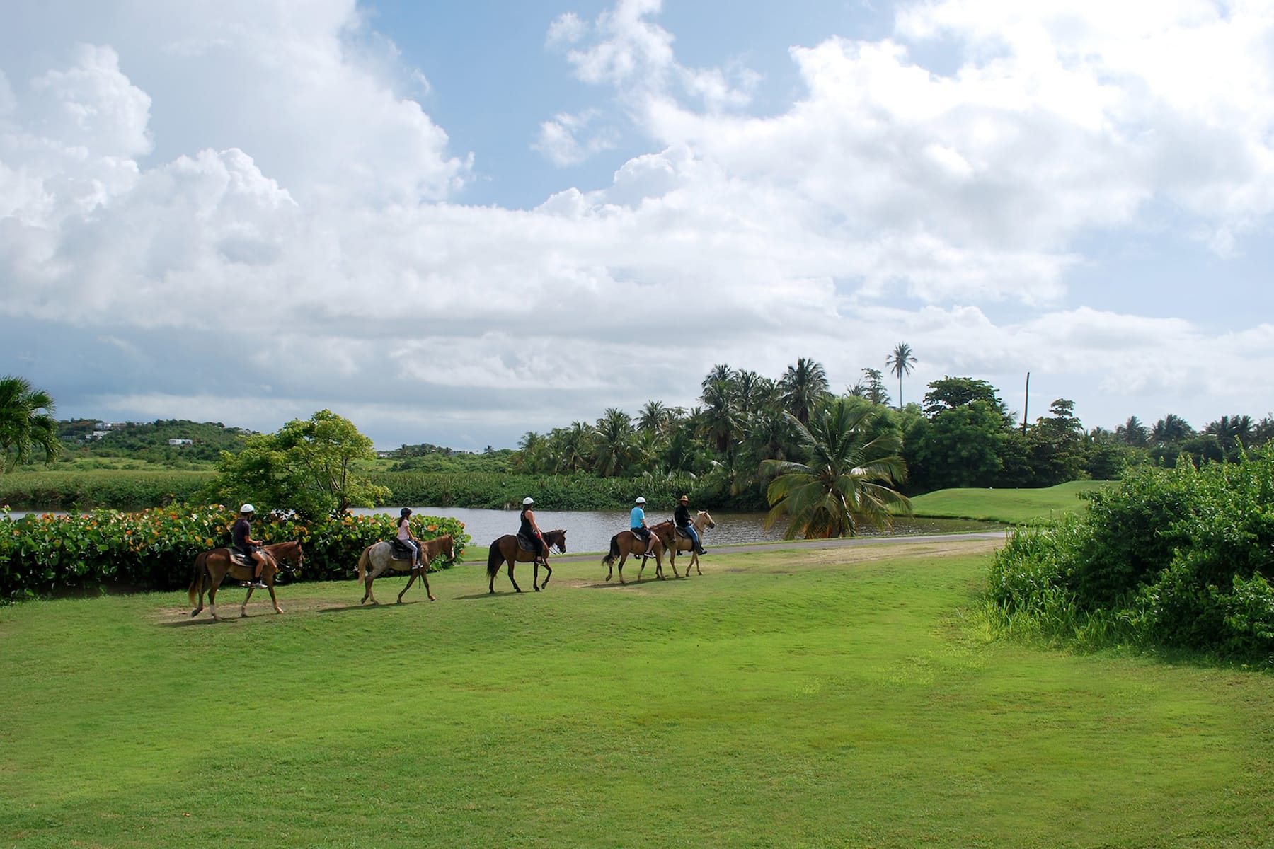 Horseback riding at Wyndham Palmas Beach and Golf Boutique Resort in Humacao, Other than US/Canada