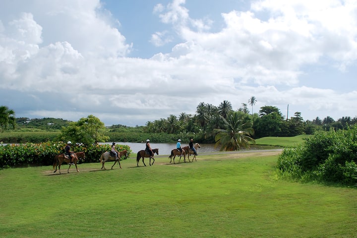 Horseback riding at Wyndham Palmas Beach and Golf Boutique Resort in Humacao, Other than US/Canada