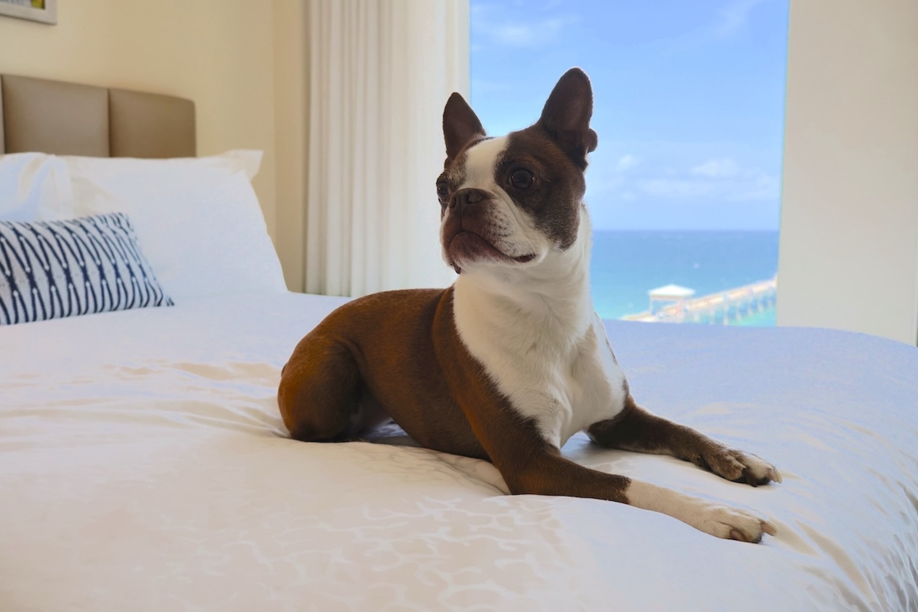 Guest room amenity at Wyndham Deerfield Beach Resort in Deerfield Beach, Florida