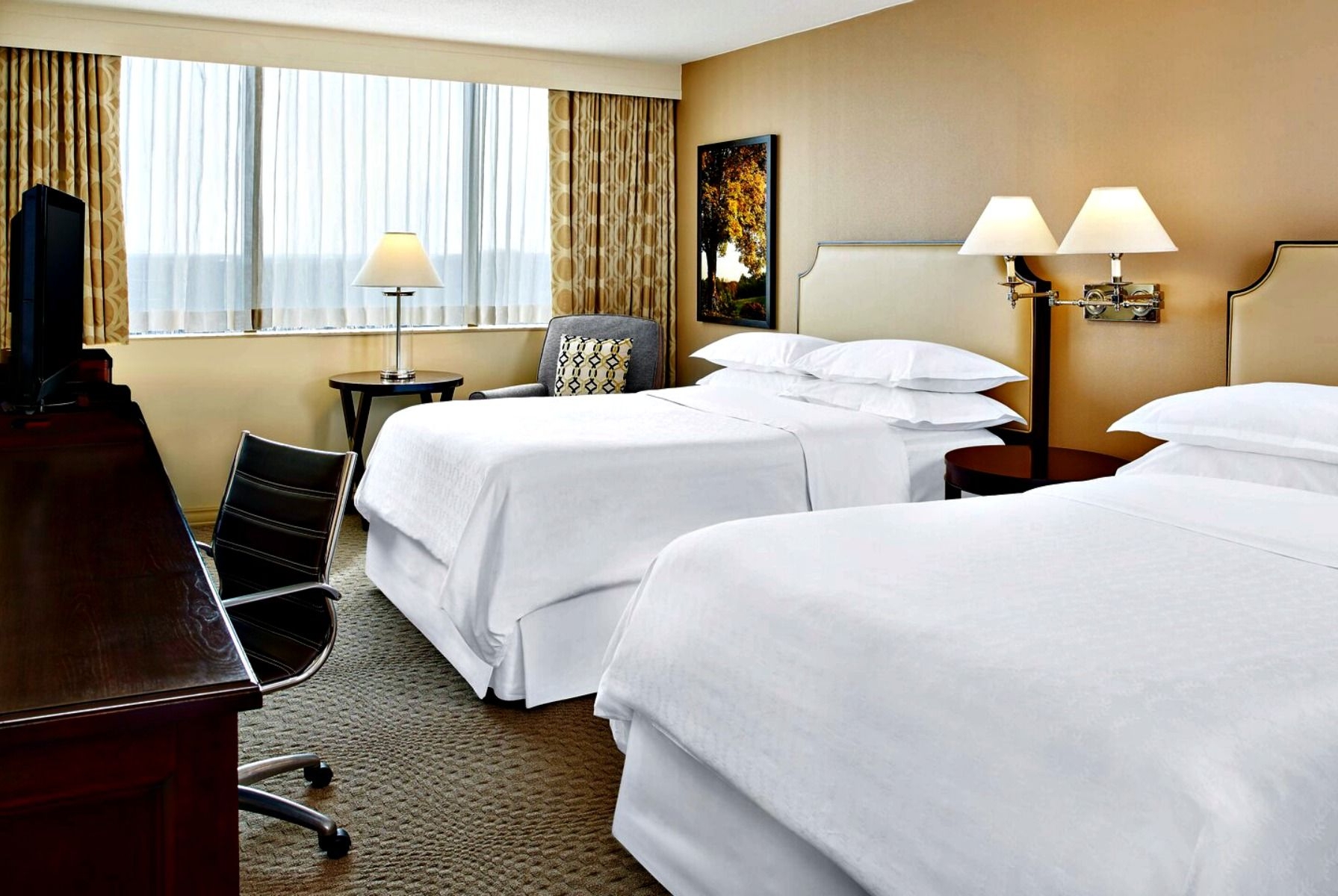 Wyndham College Park North / Washington DC Area Beltsville, MD Hotels