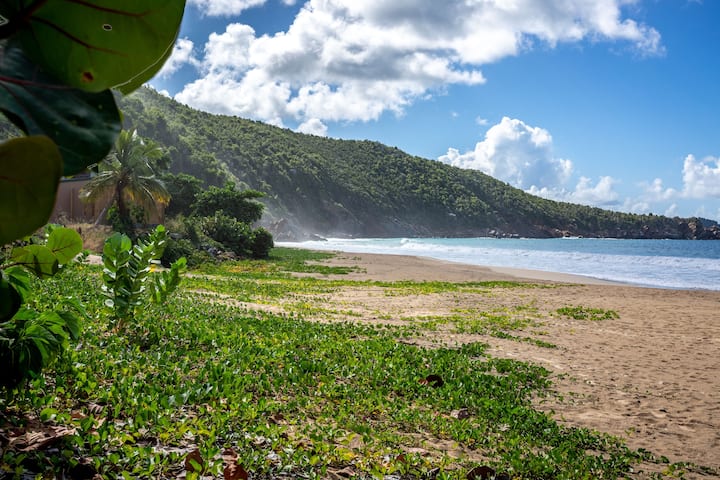 Beach near Wyndham Tortola BVI Lambert Beach Resort in East End, Other than US/Canada