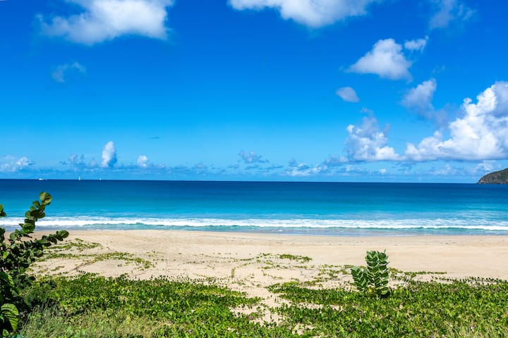 Beach near Wyndham Tortola BVI Lambert Beach Resort in East End, Other than US/Canada
