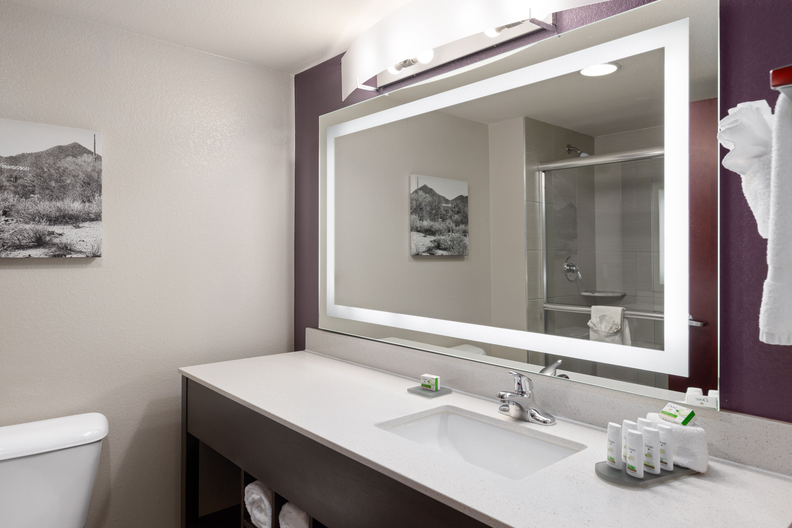 Guest room bath at the La Quinta Inn & Suites by Wyndham Williams-Grand Canyon Area in Williams, Arizona